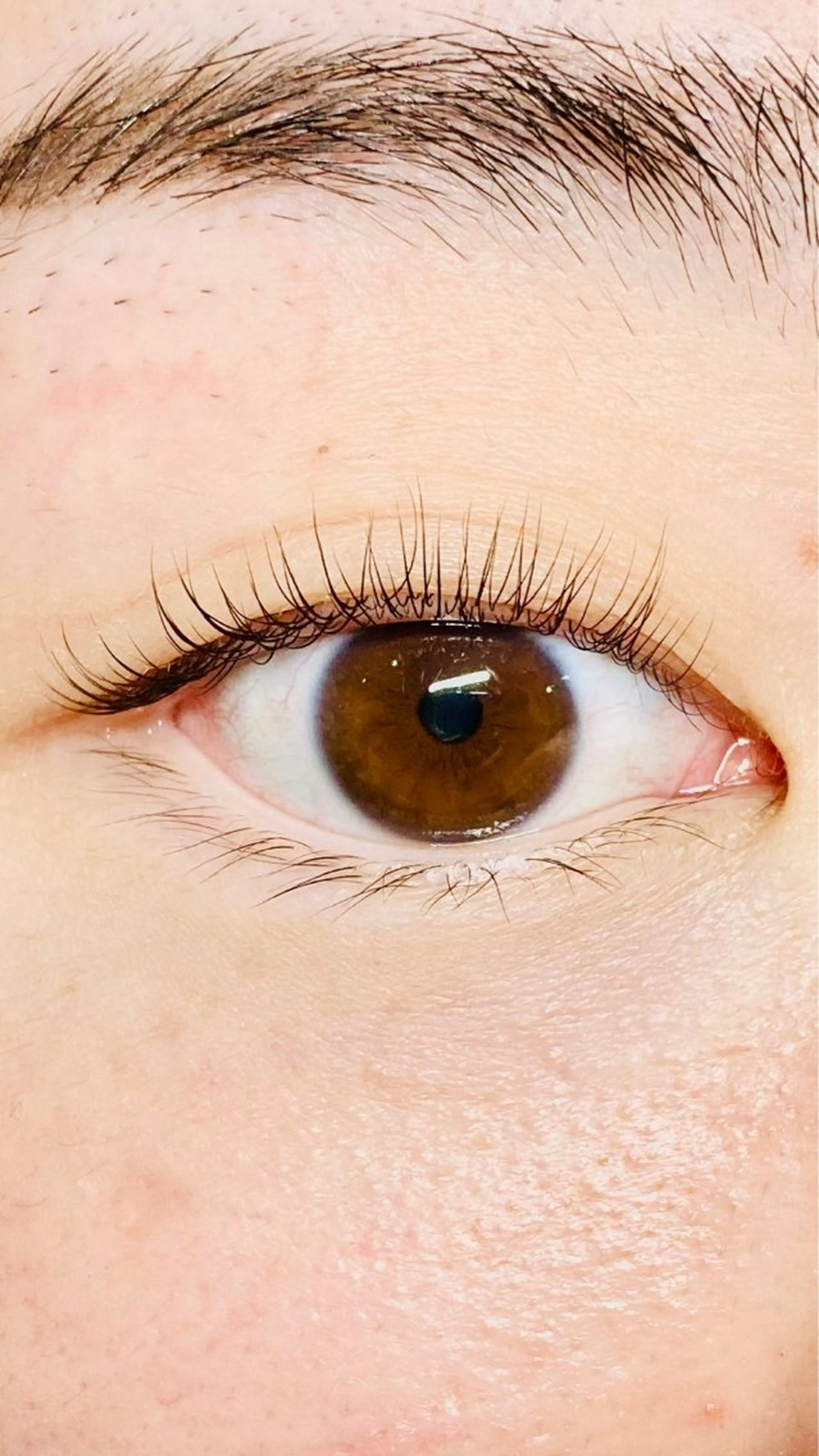 マツエク・マツパ Shucre豊田店 🫧Kotomiのマツエク・マツパデザイン