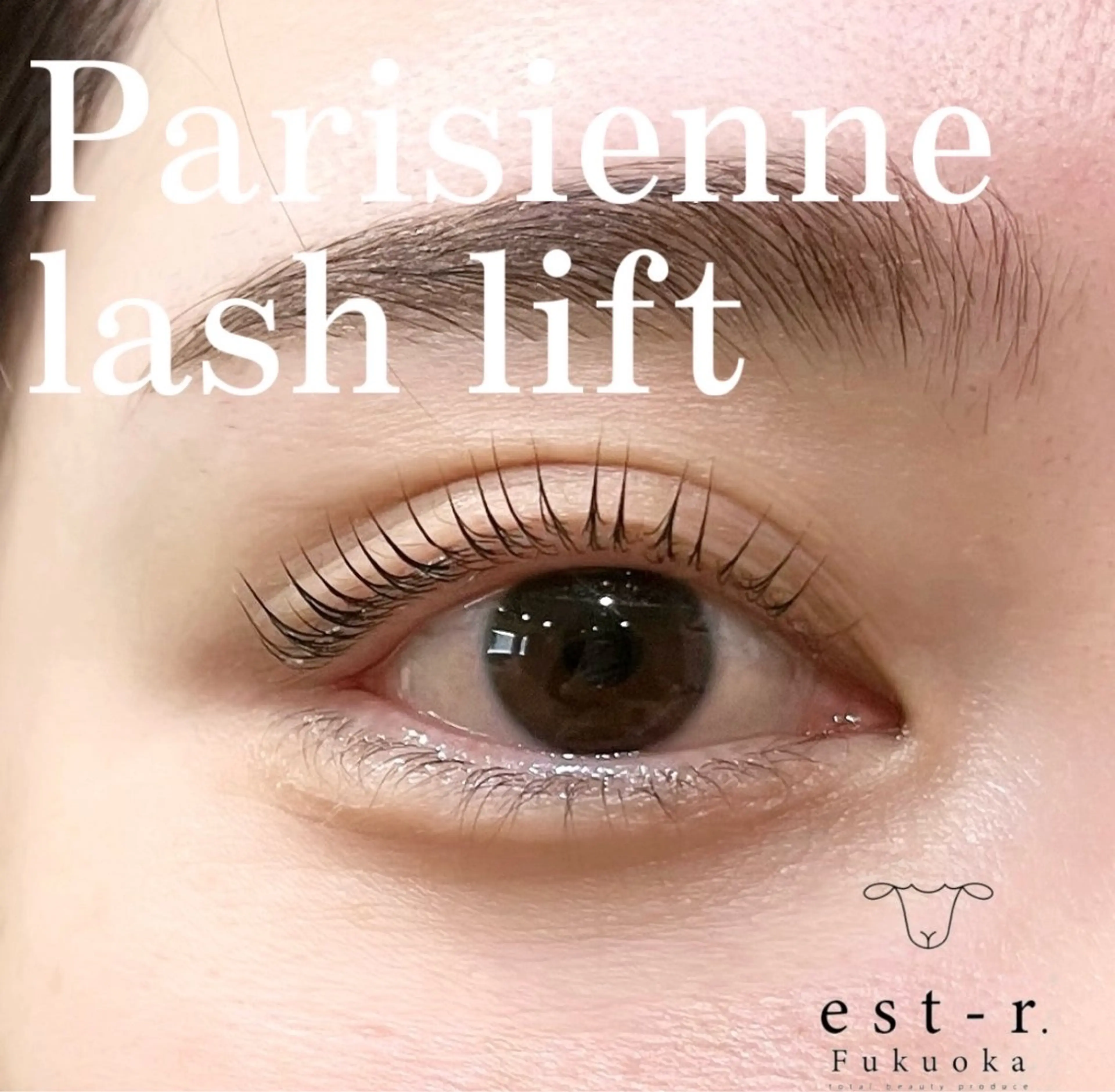 マツエク・マツパ マツパ Riho/博多/ まつげパーマ/LEDのマツエク・マツパデザイン