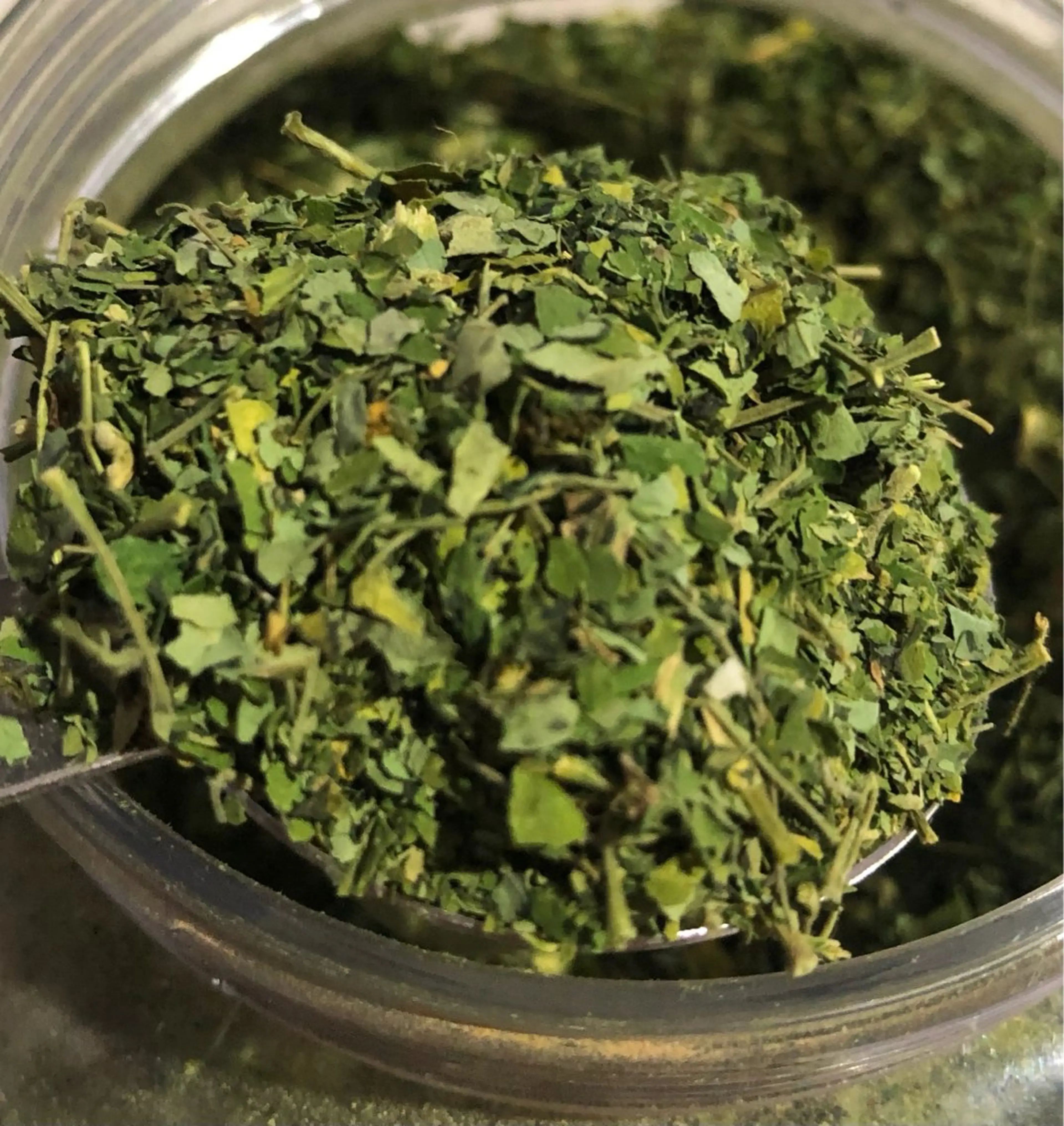 モリンガ&よもぎ蒸し🌿の写真