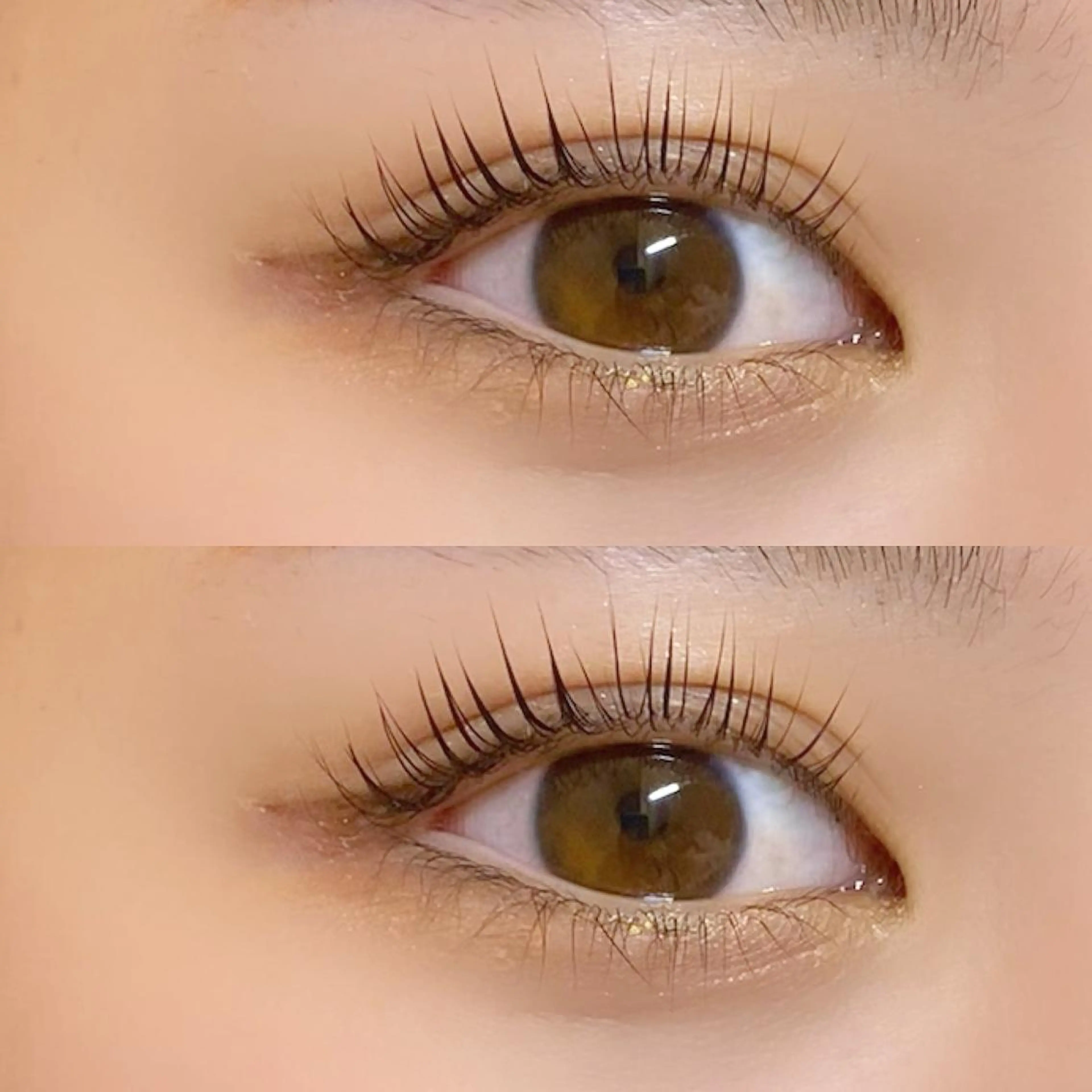 人気menu!【パーマする度いきいきしたまつ毛に🩵】パリジェンヌ＋スタンダードケアセットメニュー◎の写真