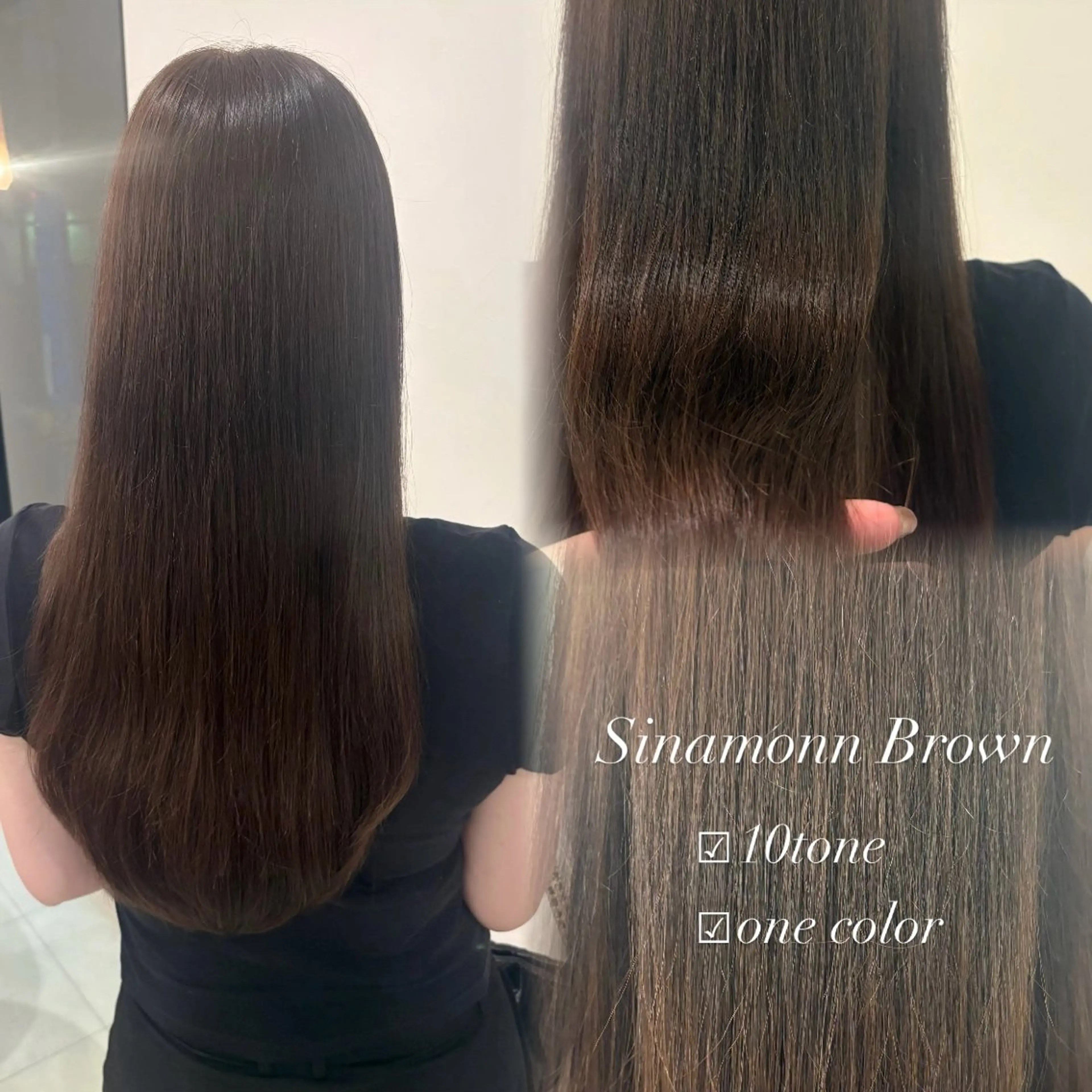 ワンカラーの写真