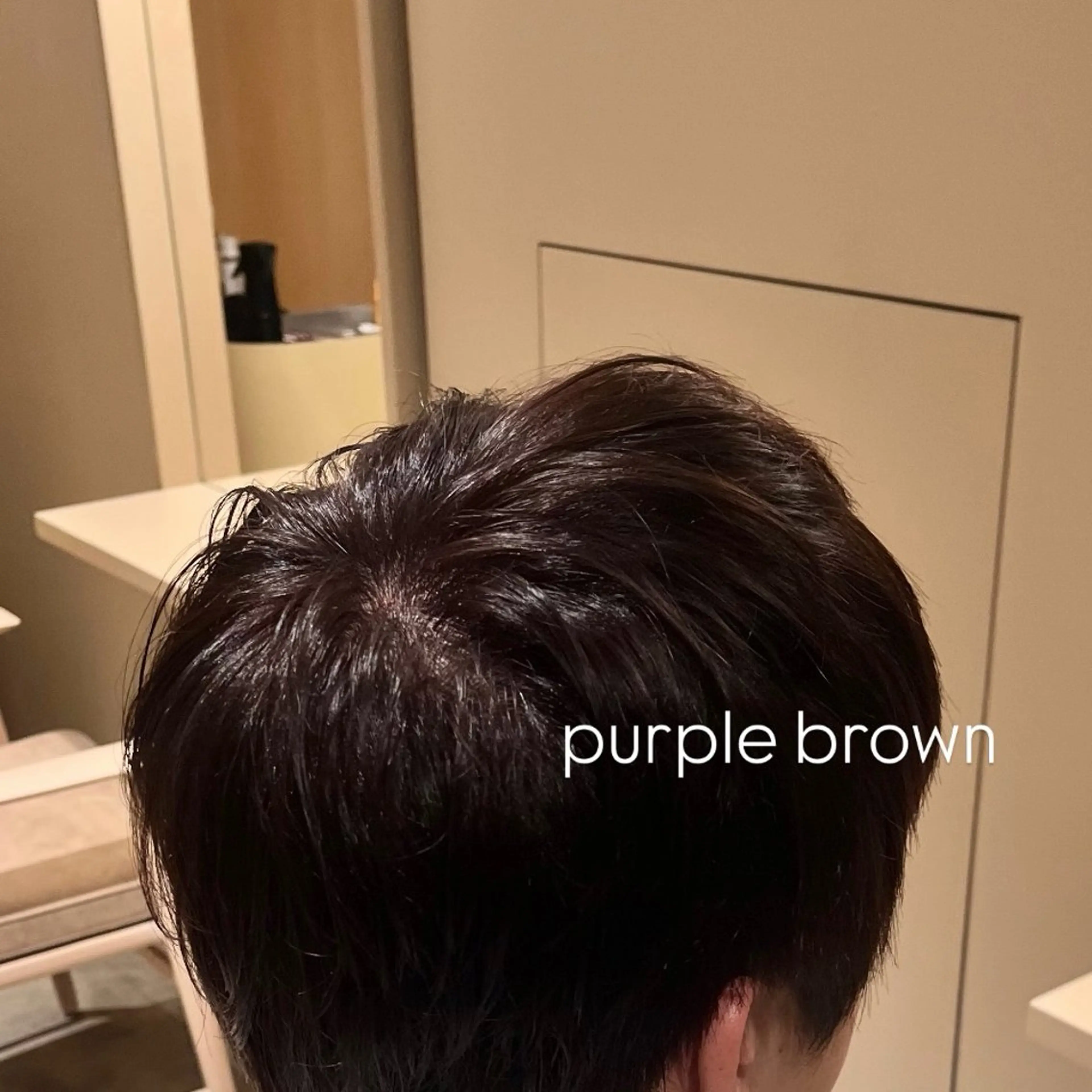 ショート カラー ヘアカラー meirin <model募集中>のヘアスタイル