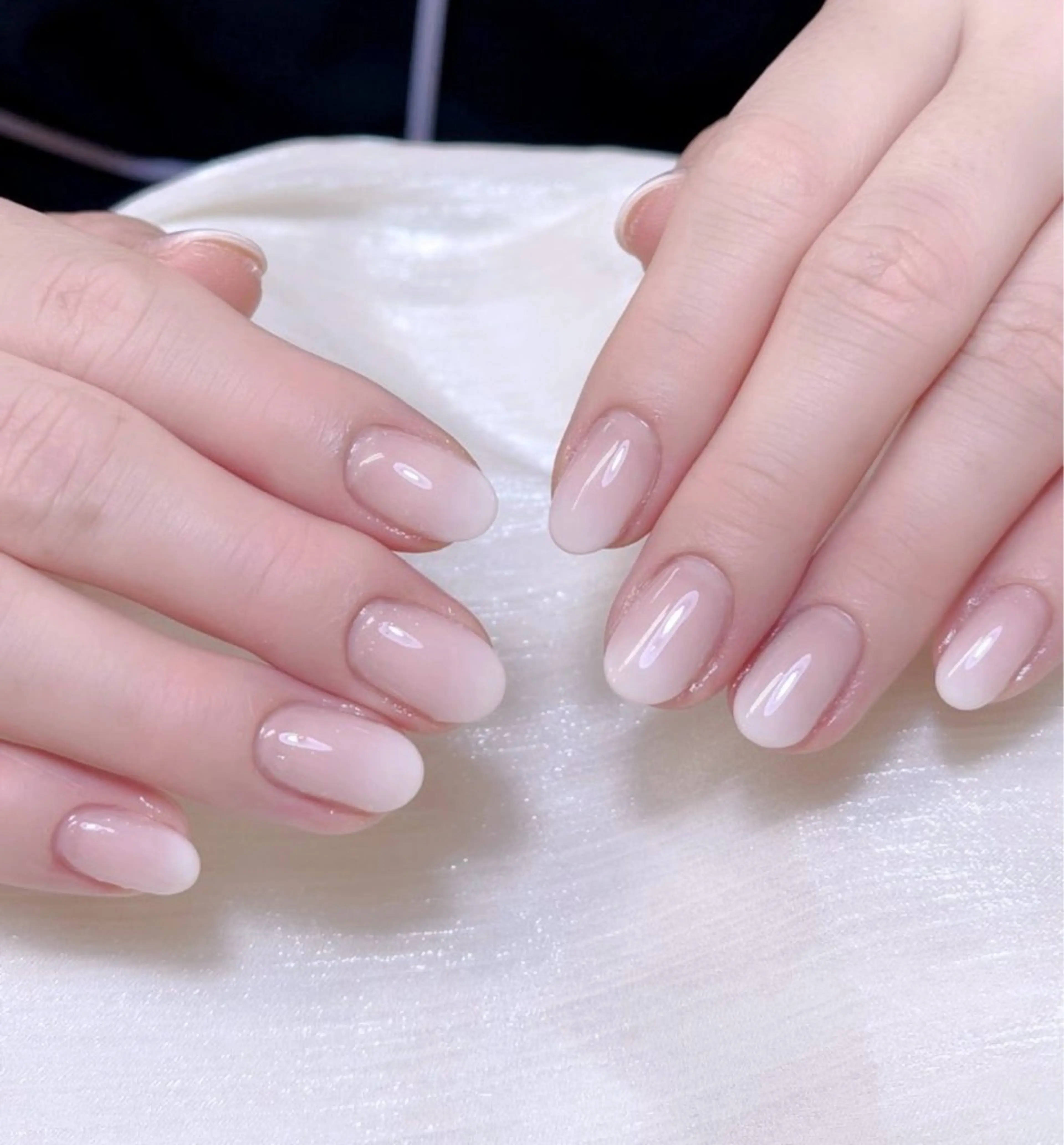 【大人気】ベイビーブーマ—の写真