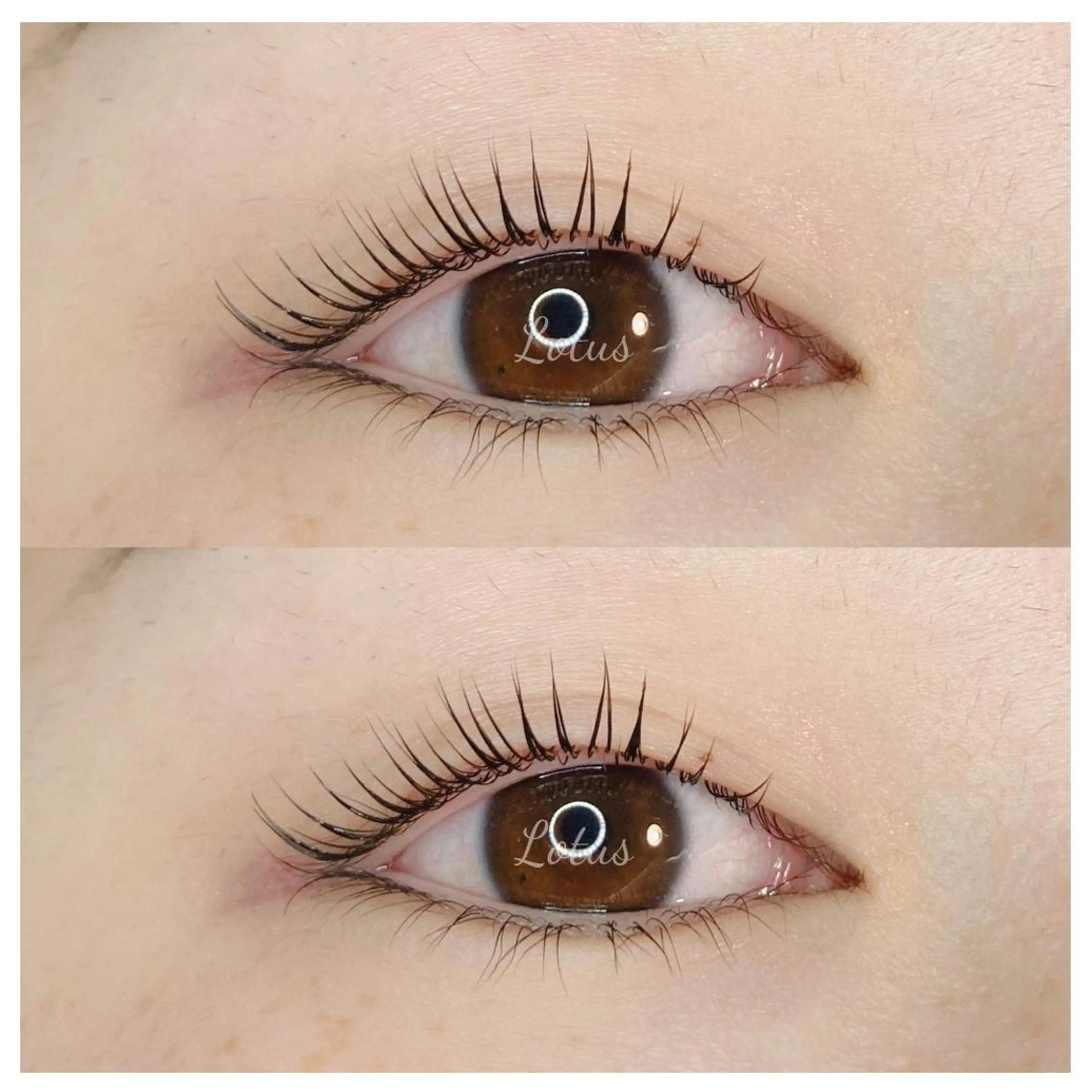 マツエク・マツパ マツパ Lotus所属・Lotus ロータスのマツエク・マツパデザイン