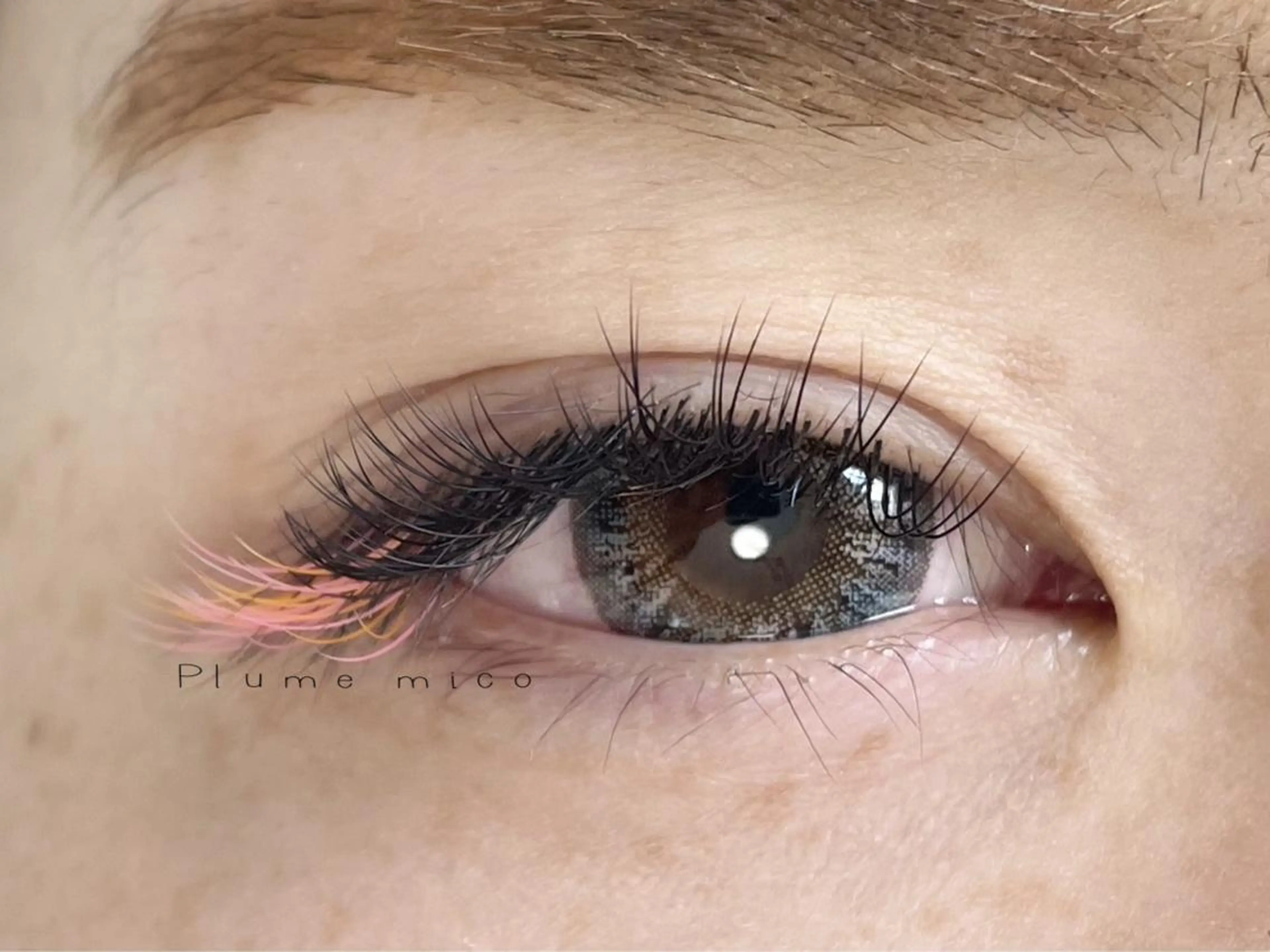 マツエク・マツパ マツエク Plume micoのマツエク・マツパデザイン