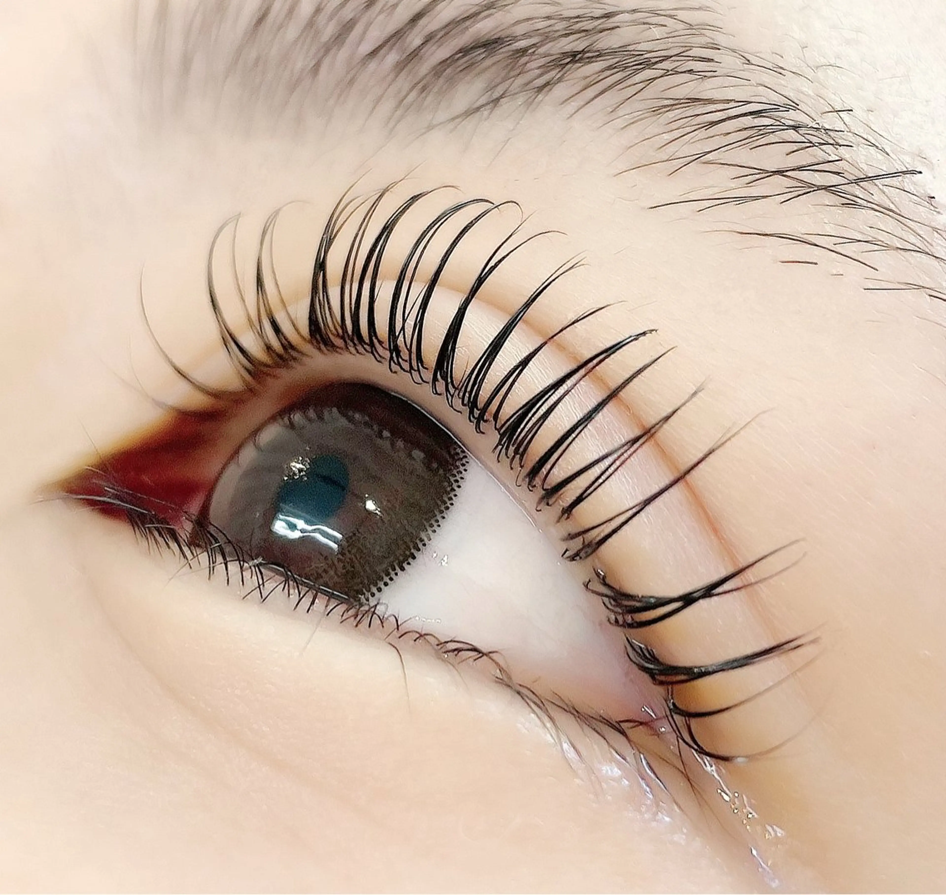 オーダーメイド✨ラッシュリフト上◎トリートメント付き🩵の写真