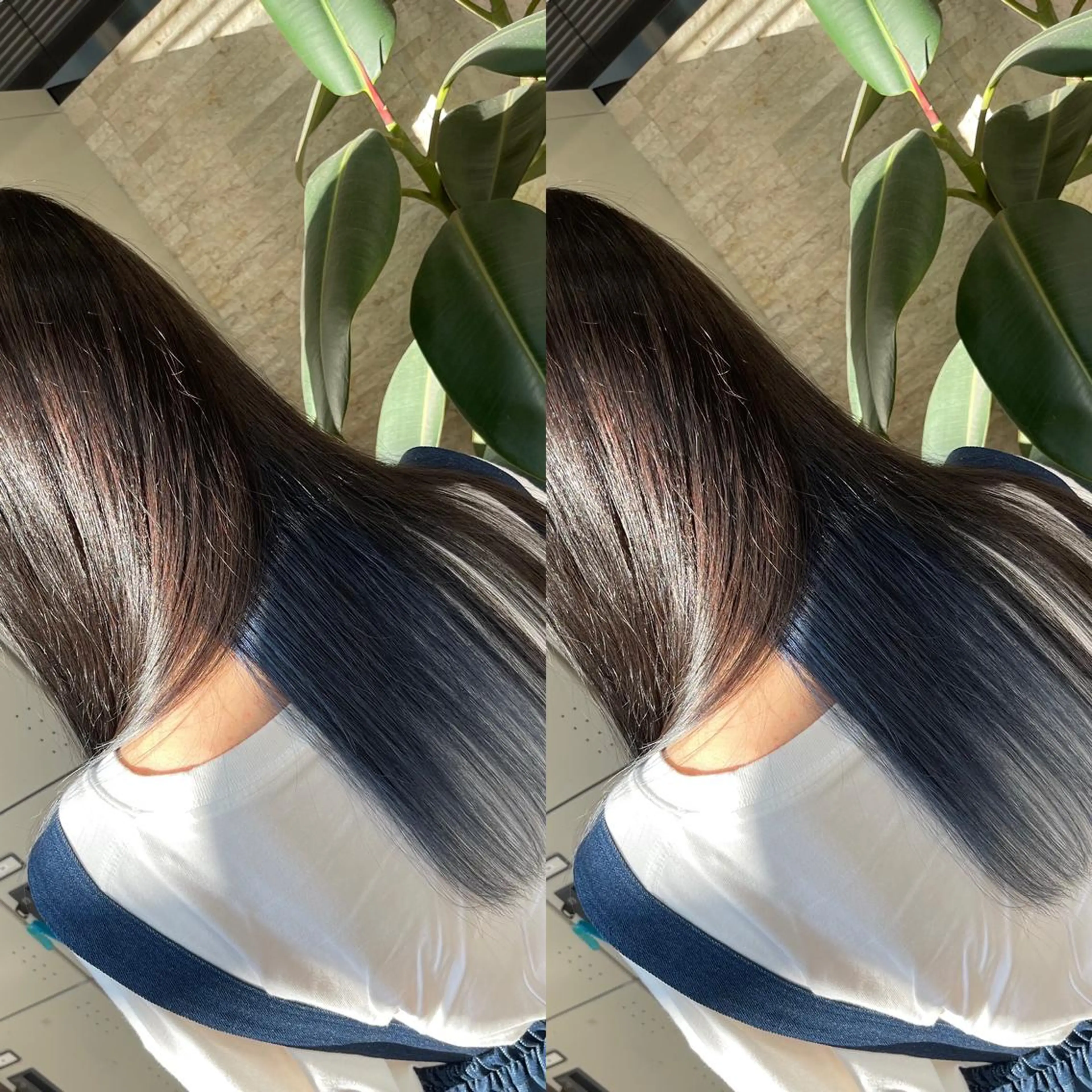 セミロング カット ヘアカラー Y Uのヘアスタイル