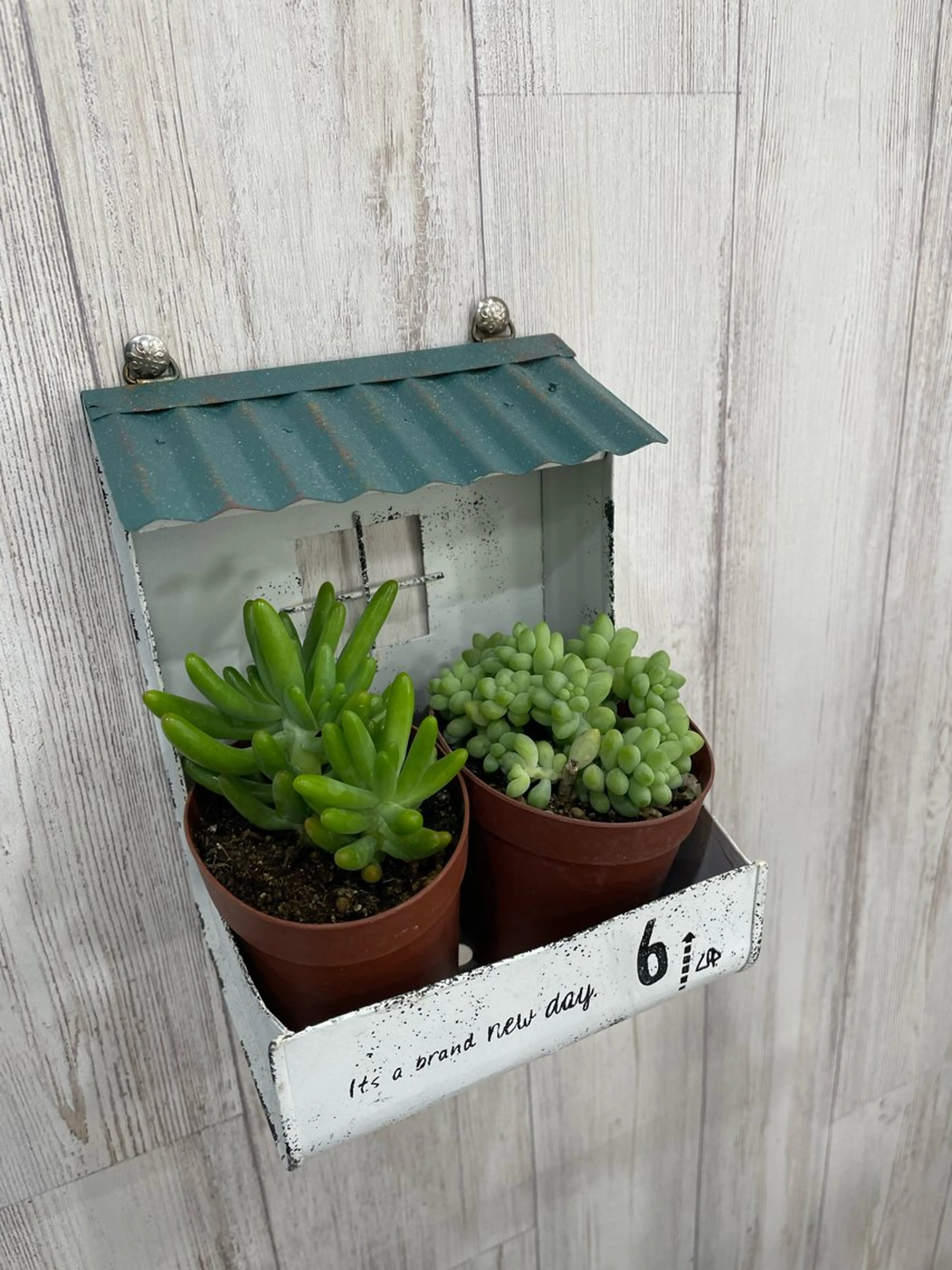 arm in arm ︎✿Yamamotoのマツエク・マツパデザイン