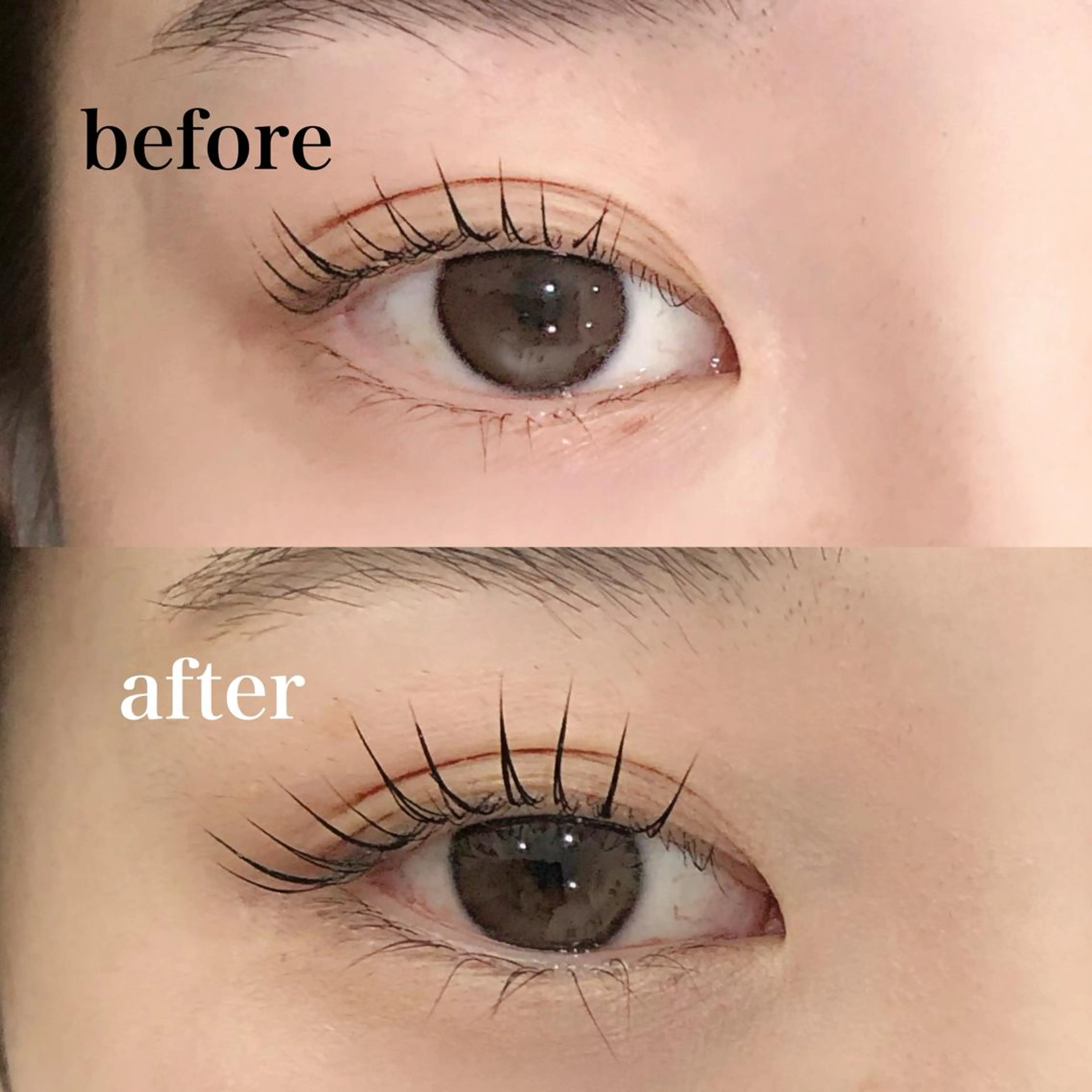 マツエク・マツパ マツパ Ange所属・Ange 𓍯 amiのマツエク・マツパデザイン