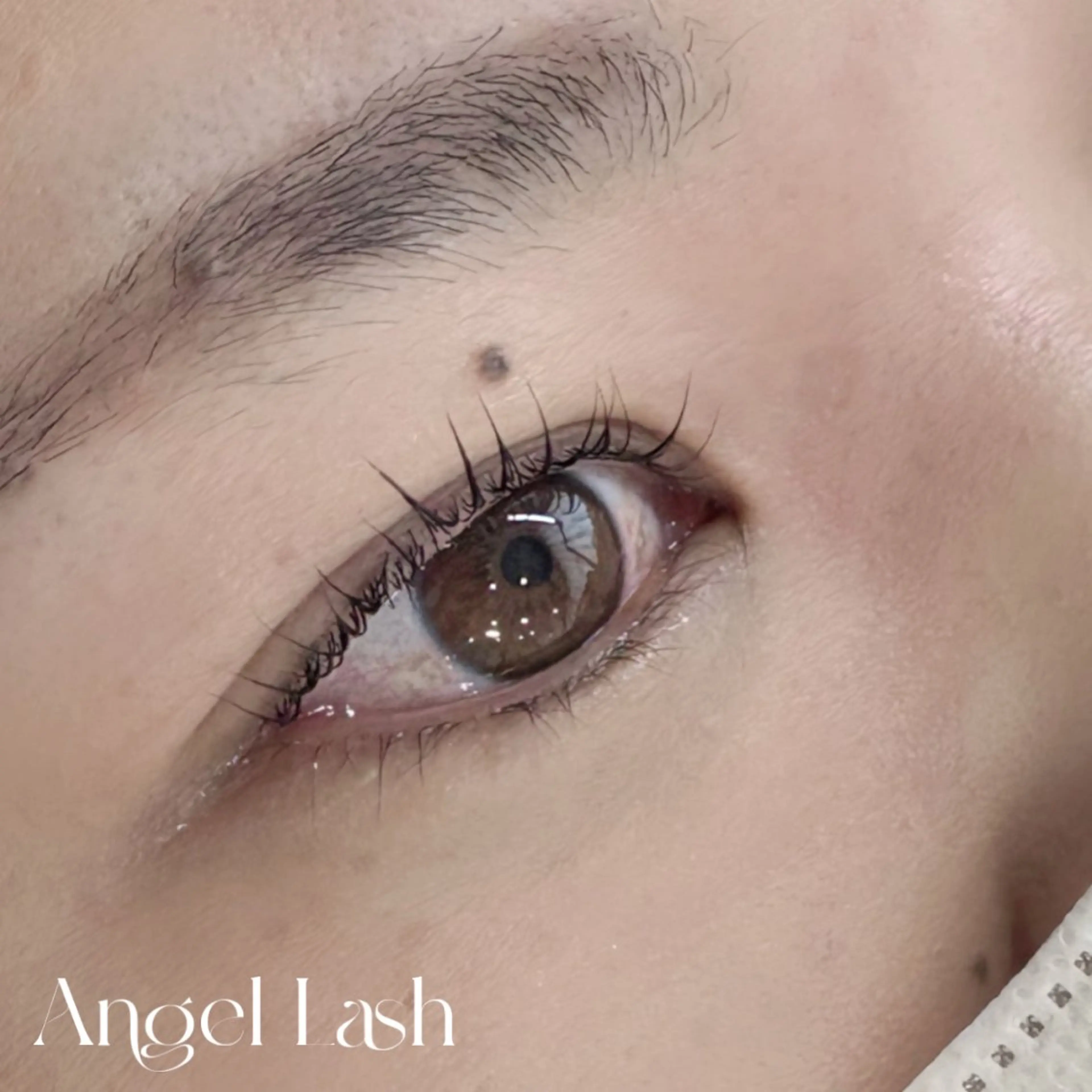 マツエク・マツパ 束感まつ毛 パリジェンヌラッシュリフト AngelLash所属・AngleLash hayashiのマツエク・マツパデザイン