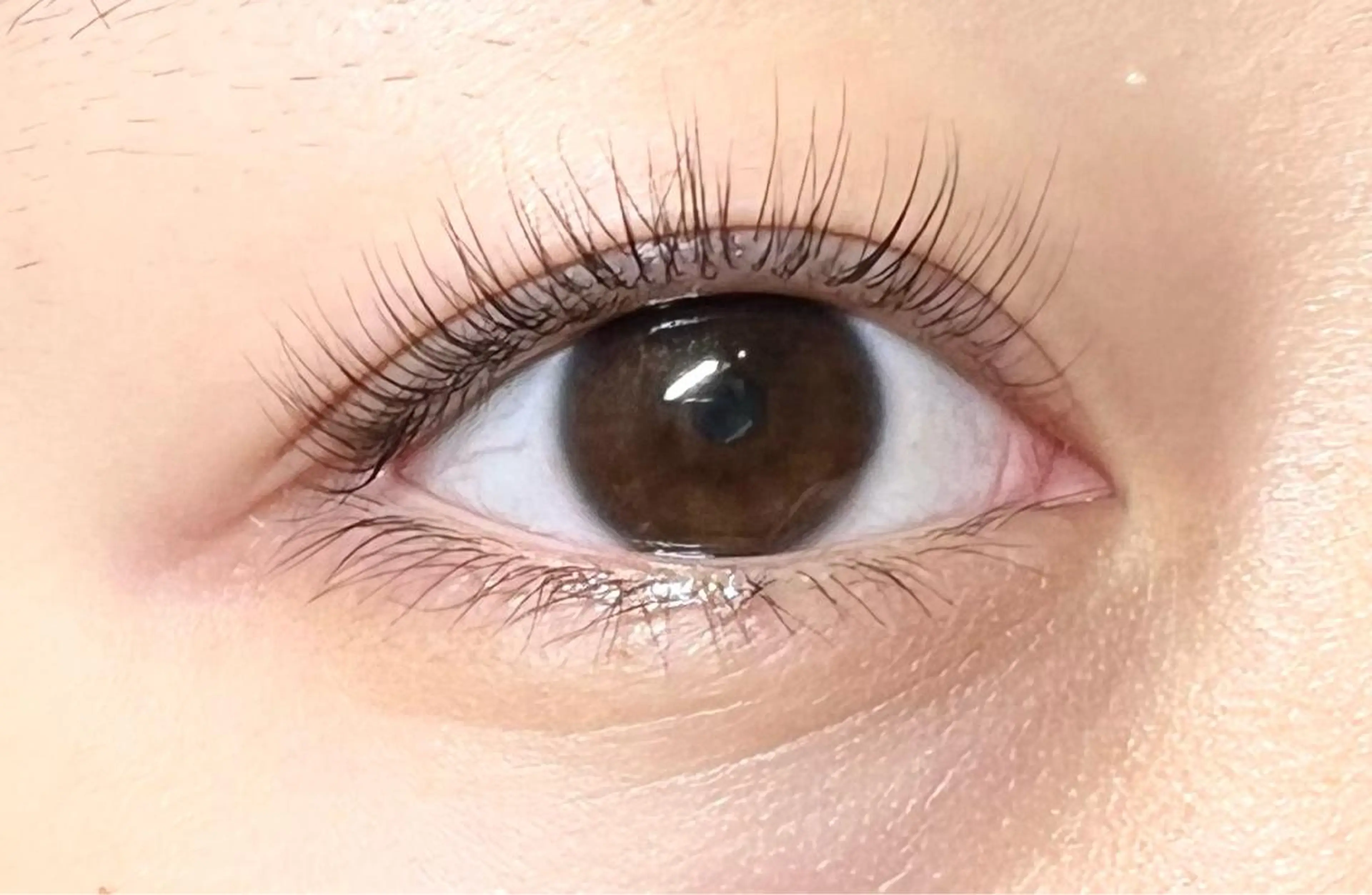 マツエク・マツパ パリジェンヌラッシュリフト eyelash plan api所属・【plan】 kaoriのマツエク・マツパデザイン