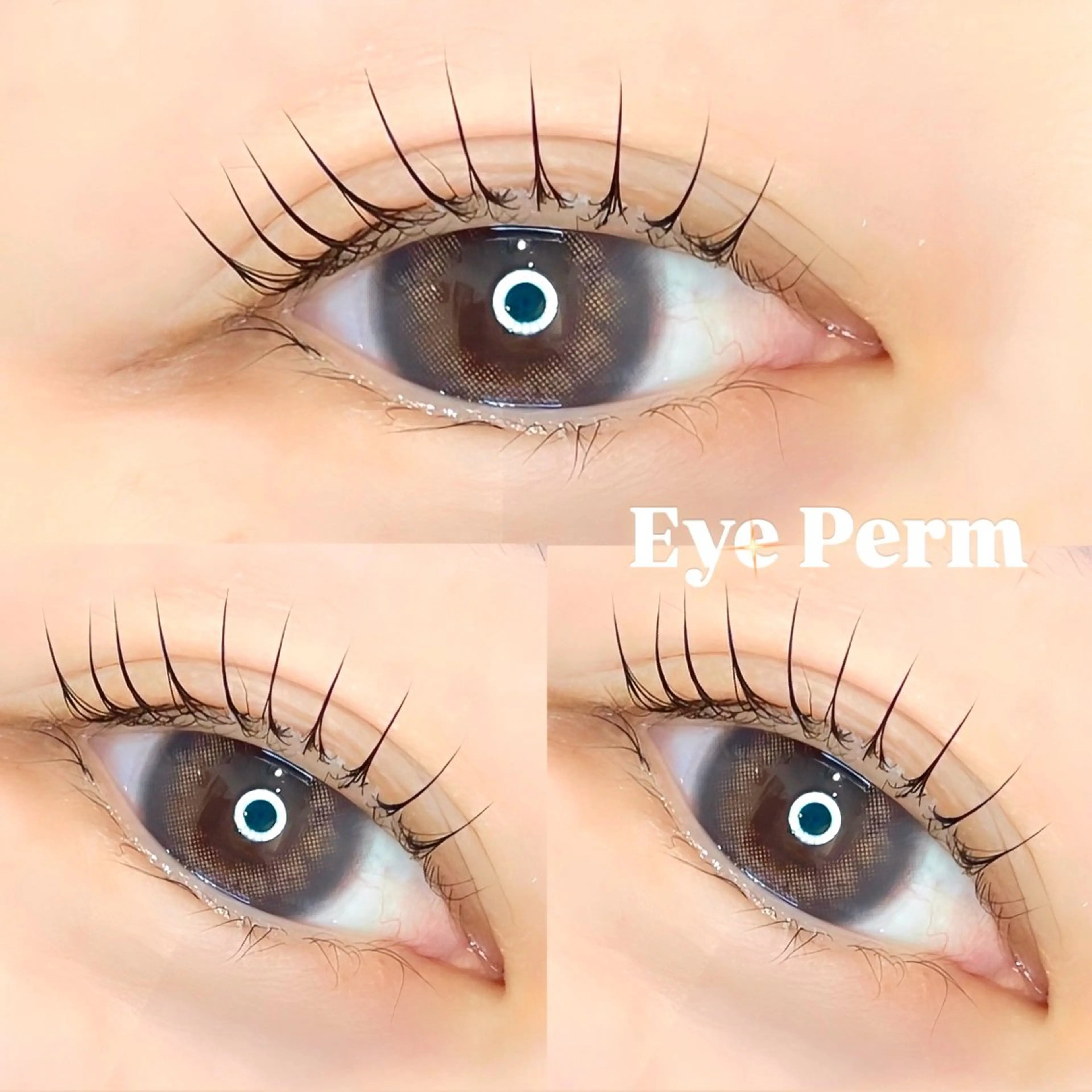 高濃度美容液でダメージ補修🪄♡まつげパーマ♡ケラチントリートメント付✨の写真