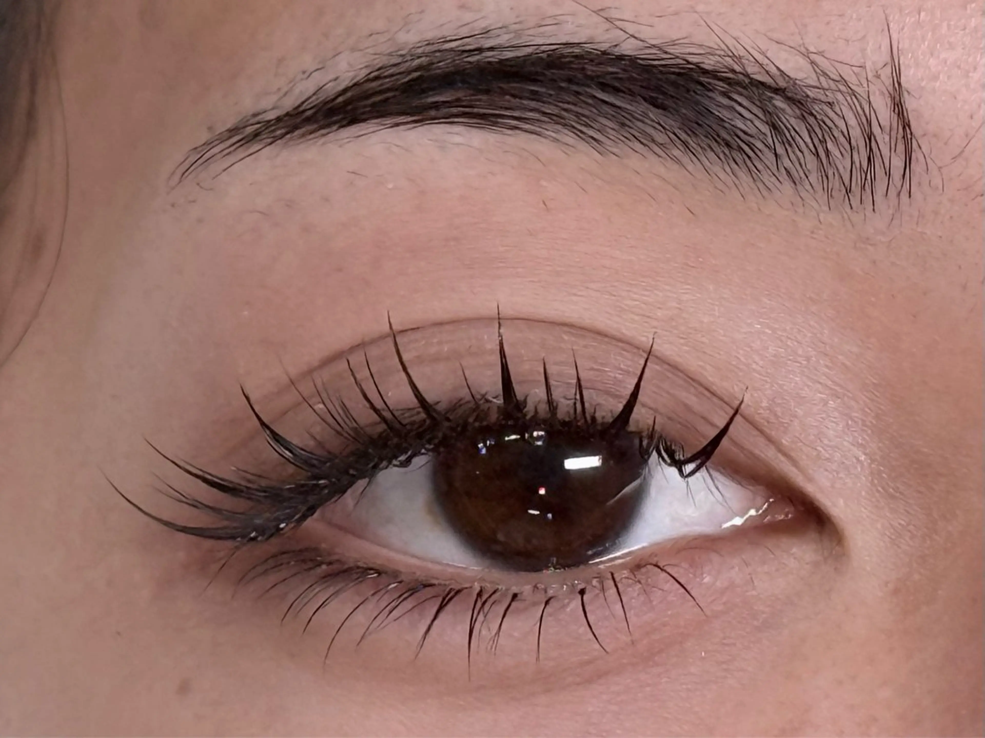 ❣️LEDワンホンデザイン❣️猫目デザイン 上140束+下30本の写真