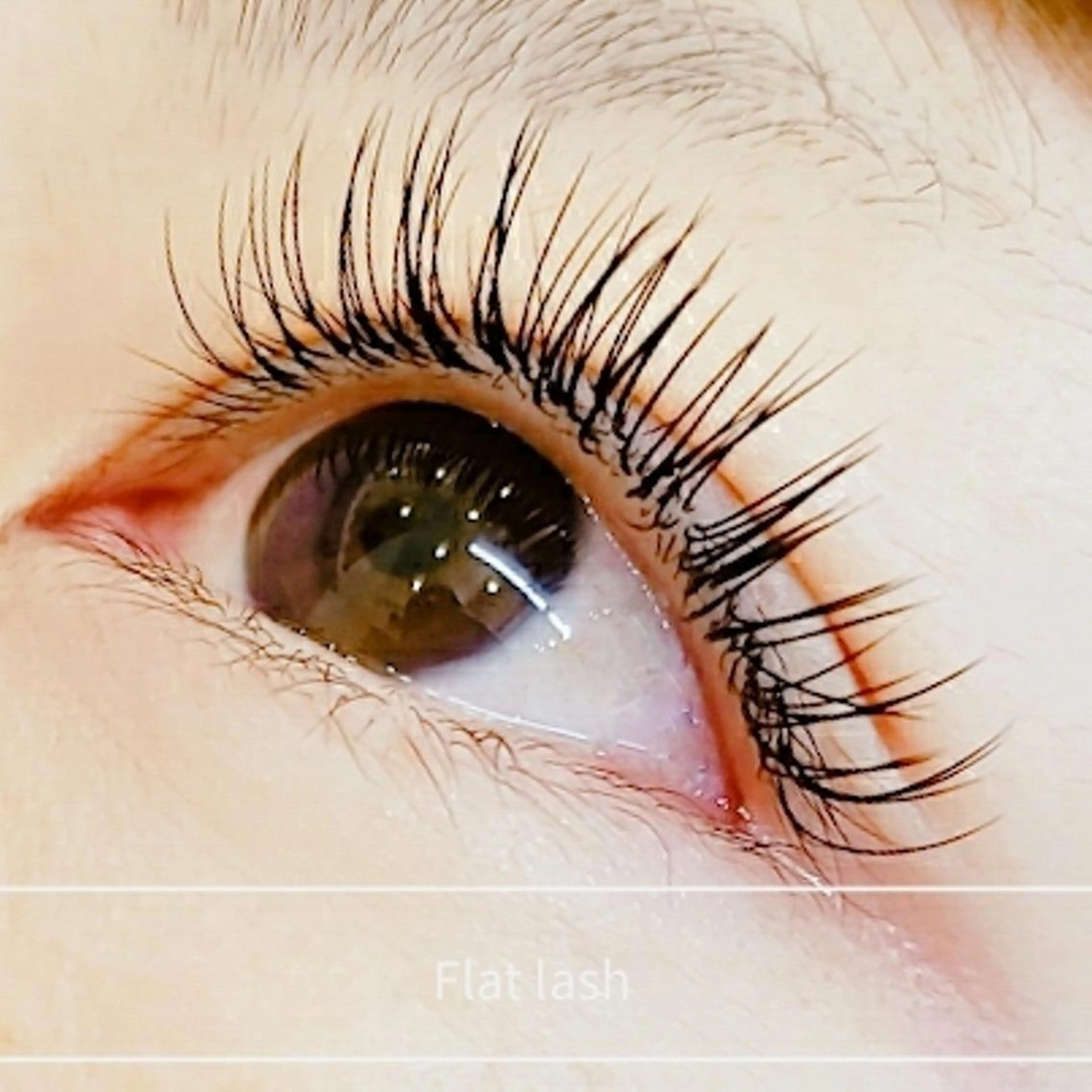 【マツエク💞フラットラッシュ】マットセーブル 100本 ニュアンスカラー変更可能◎/コーティング付きの写真