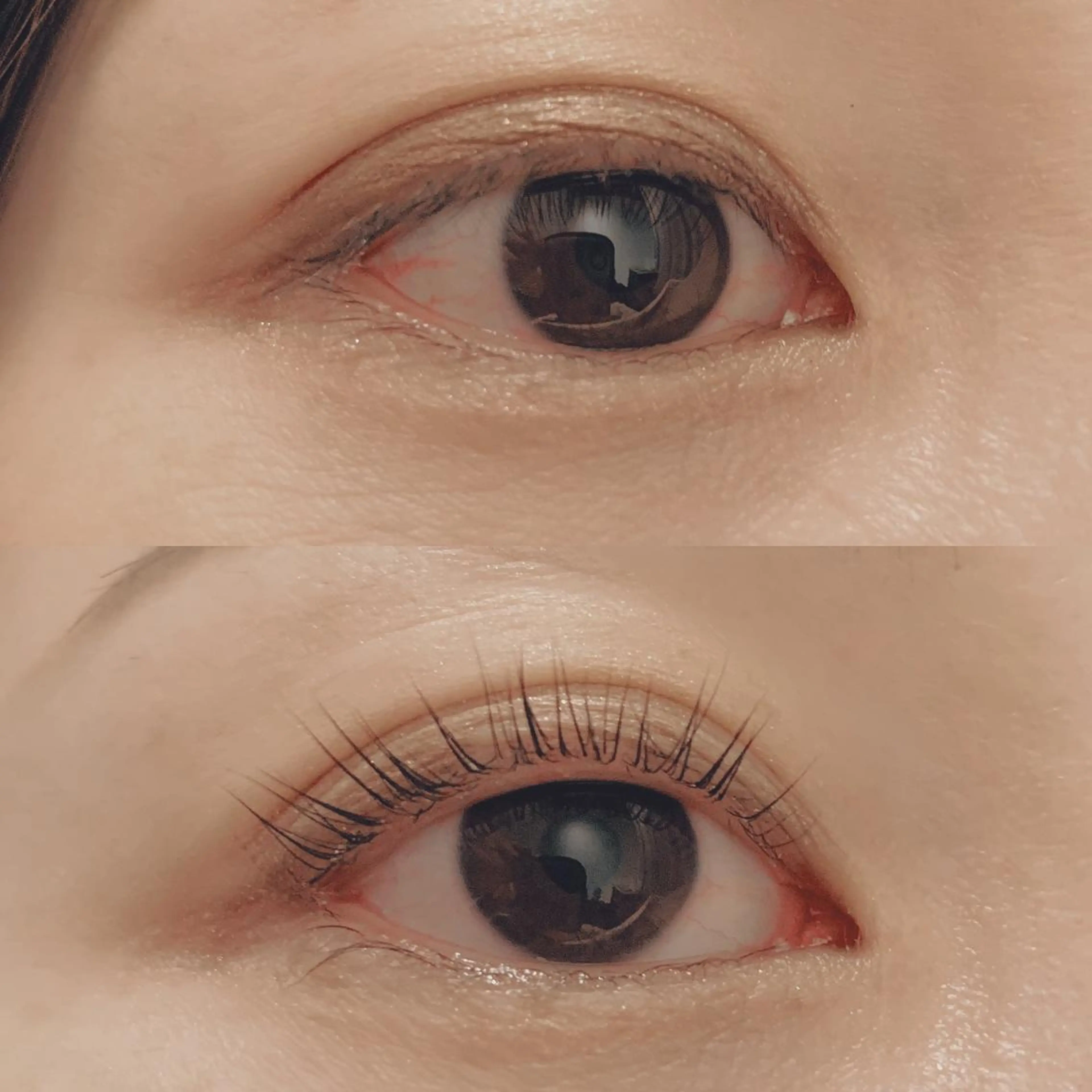 マツエク・マツパ lucolu あこのマツエク・マツパデザイン