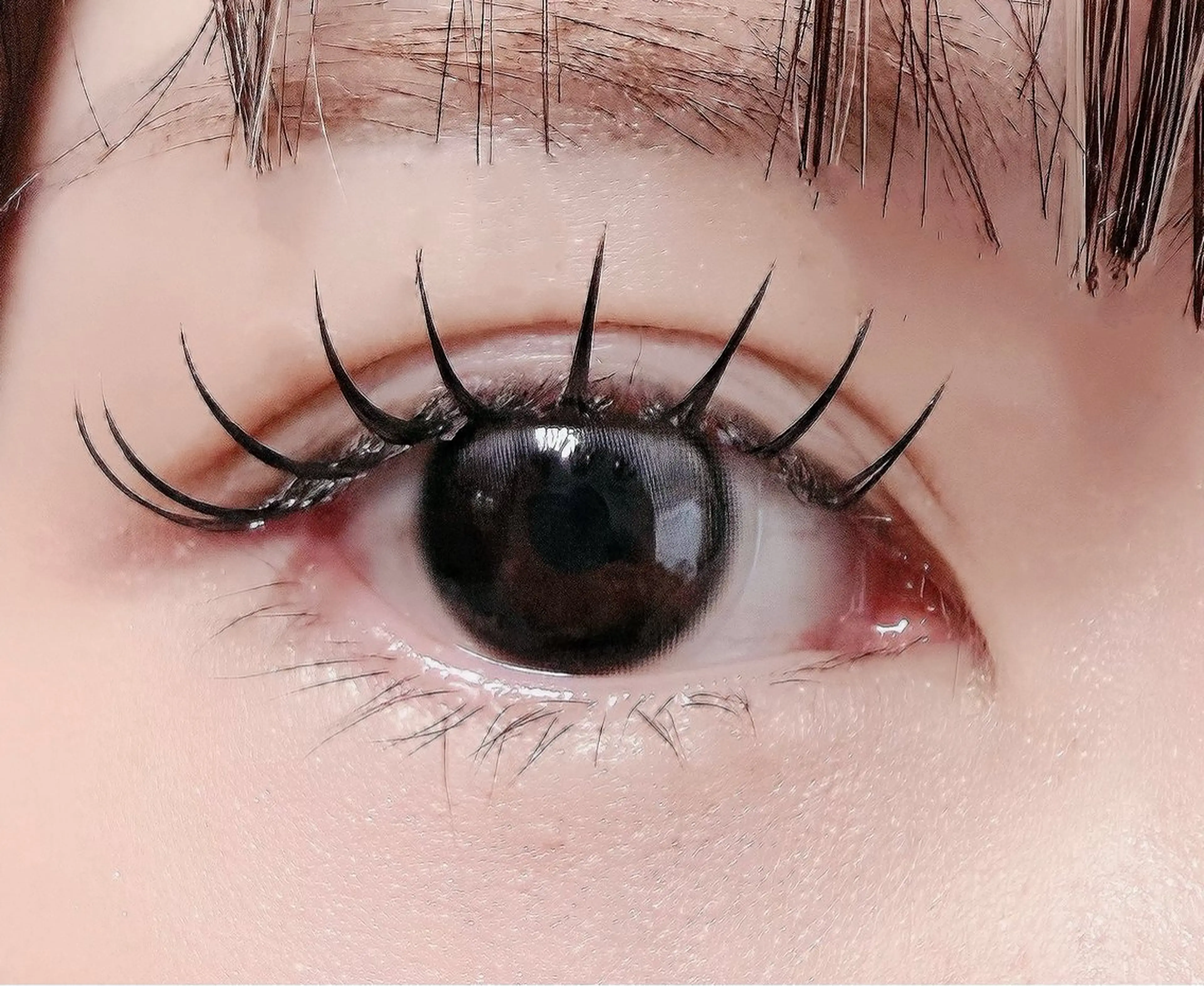 マツエク・マツパ フラットラッシュ マツエク ルチア💞 lucia高田馬場のマツエク・マツパデザイン