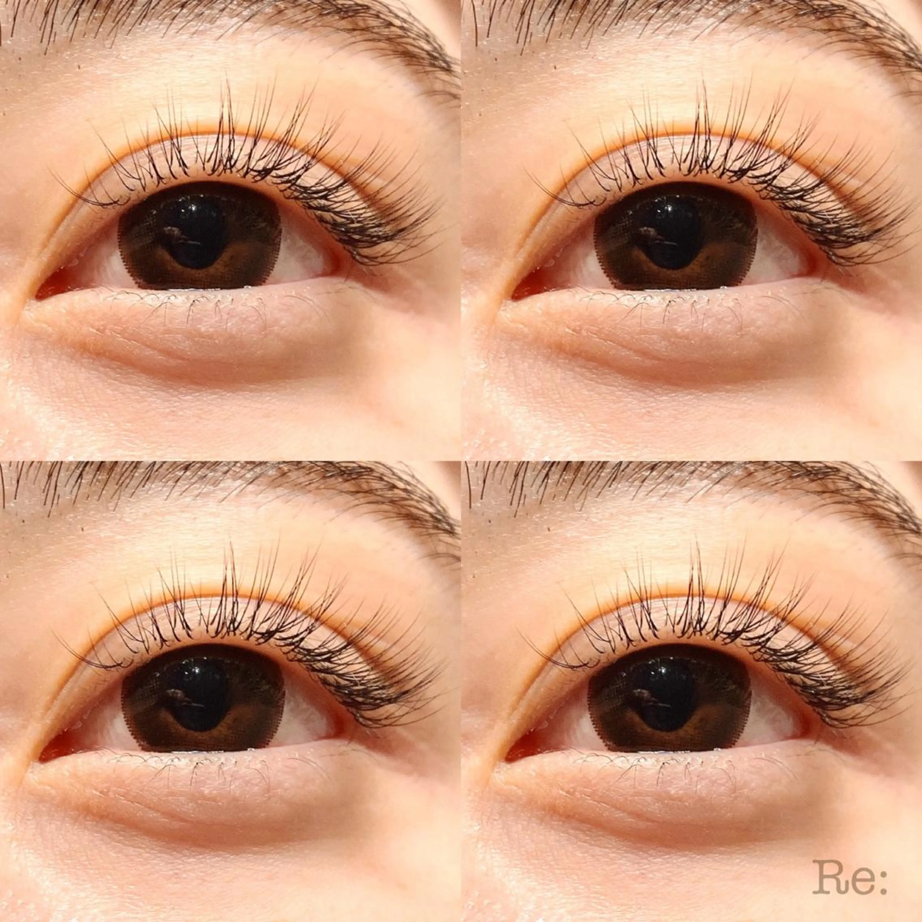 マツエク・マツパ フラットラッシュ Jカール ナチュラル セーブル マツエク Lash Re：のマツエク・マツパデザイン