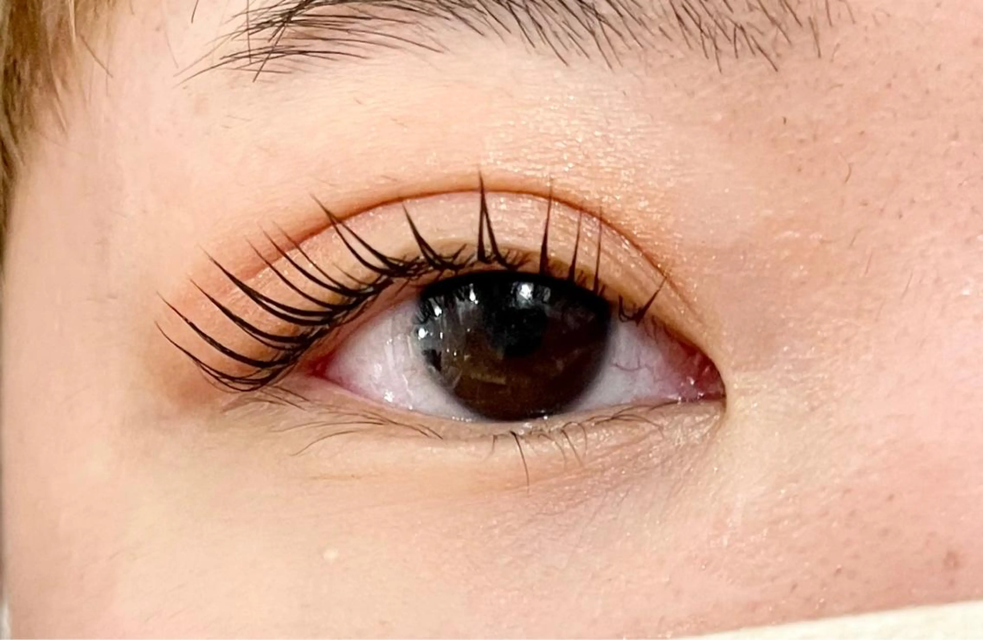 マツエク・マツパ マリーテレジア 🌻RUKAのマツエク・マツパデザイン