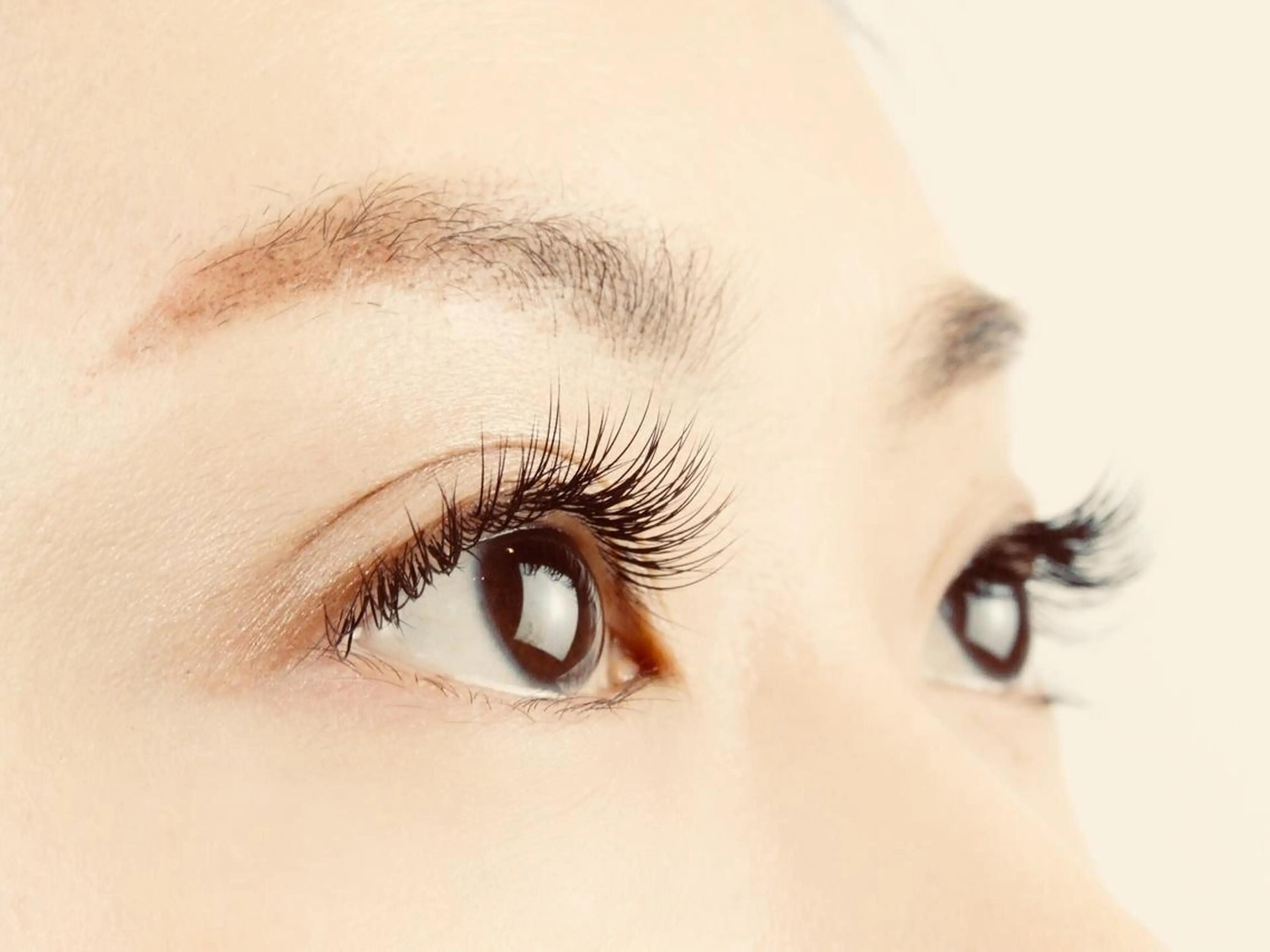 初回【60分プラン】セーブルエクステ/オフオン◎/他店付け足しok！の写真