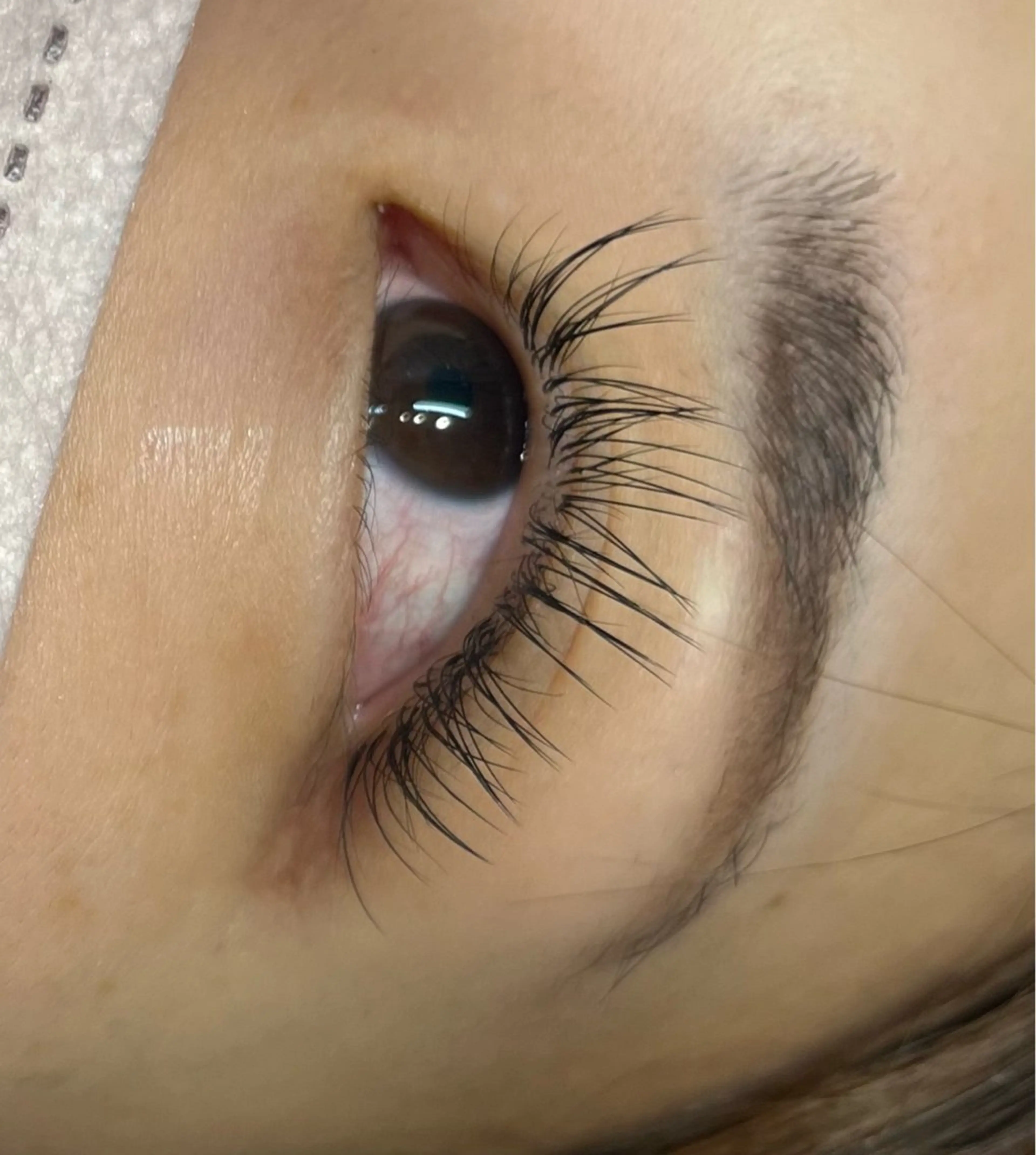 マツエク・マツパ シルク MAQUIA蒲田店 横山のマツエク・マツパデザイン