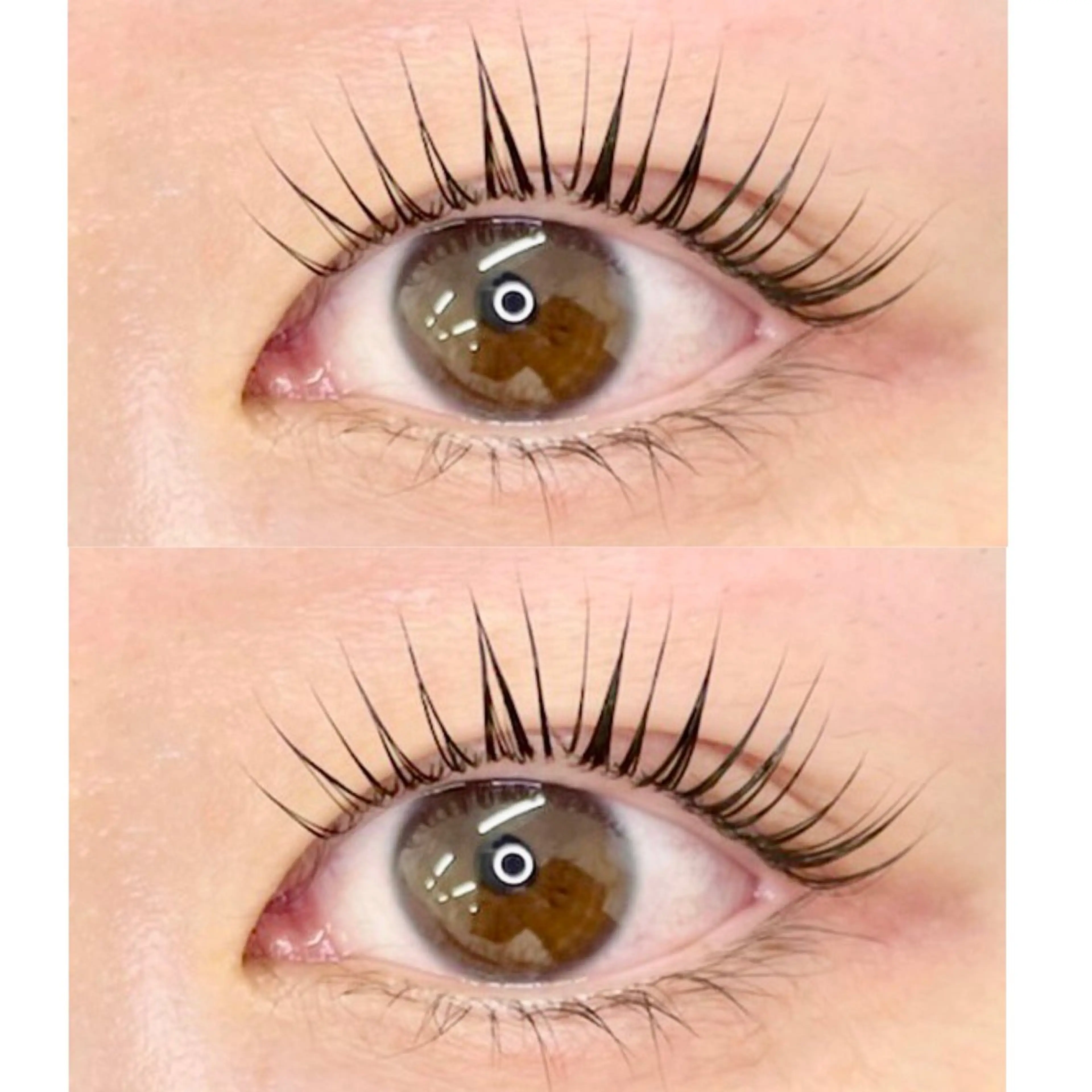 《🪴1日3名様限定🪴》 🥨ケラチンラッシュリフト　コーティング付　(土日祝＋500円)の写真