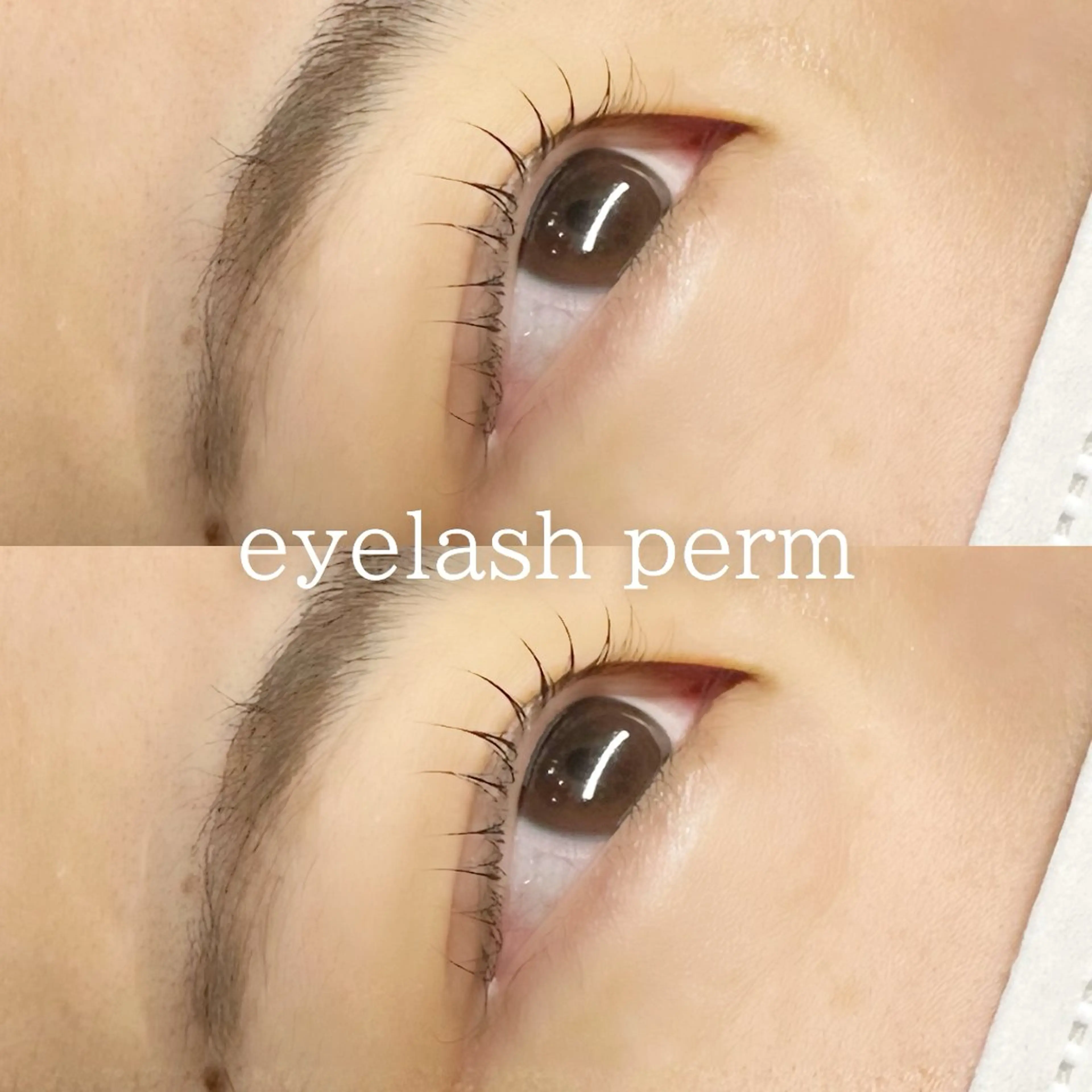 【🌷土日祝限定🌷】まつげパーマ#まつぱ#ラッシュリフトの写真