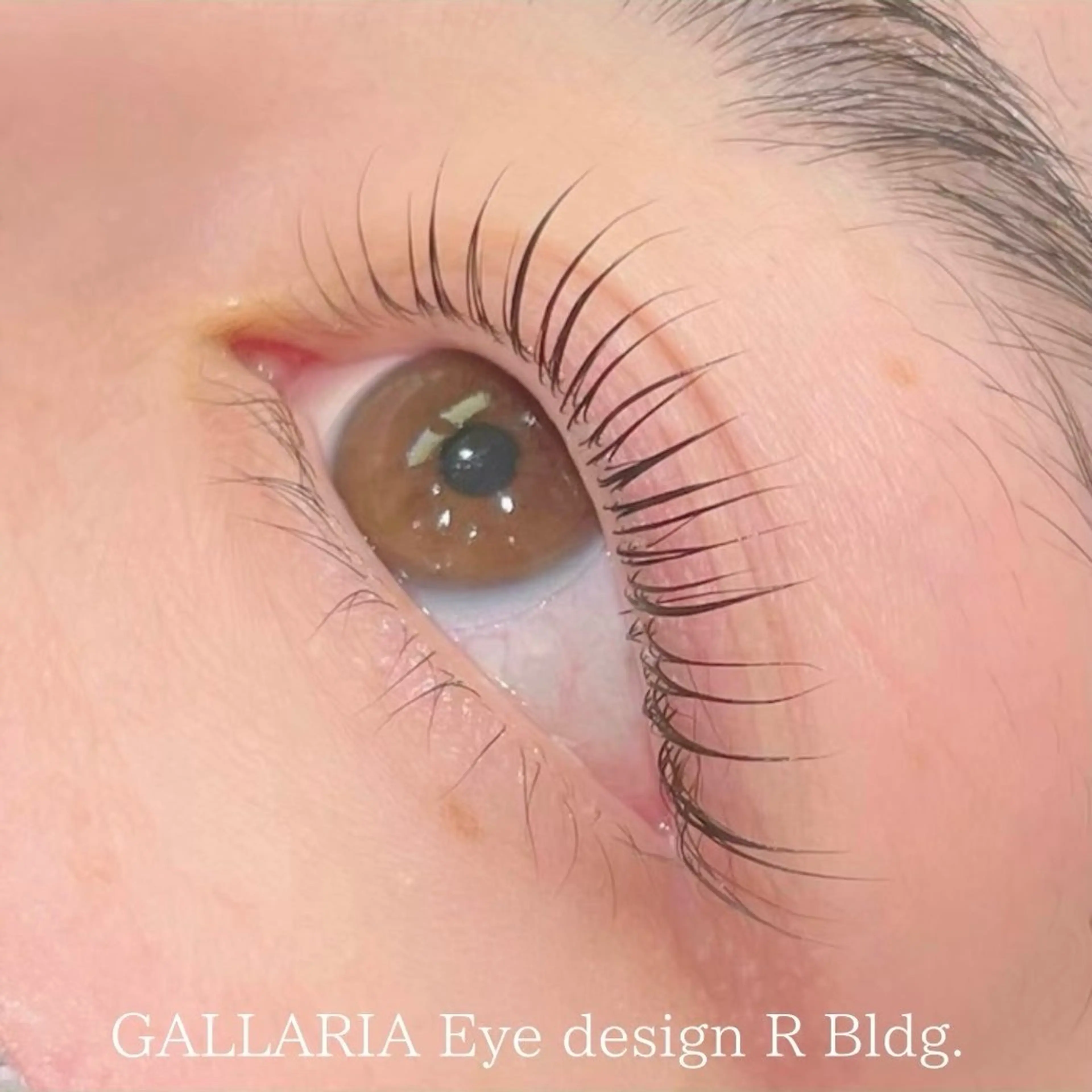 〈平日〉まつ毛パーマの写真