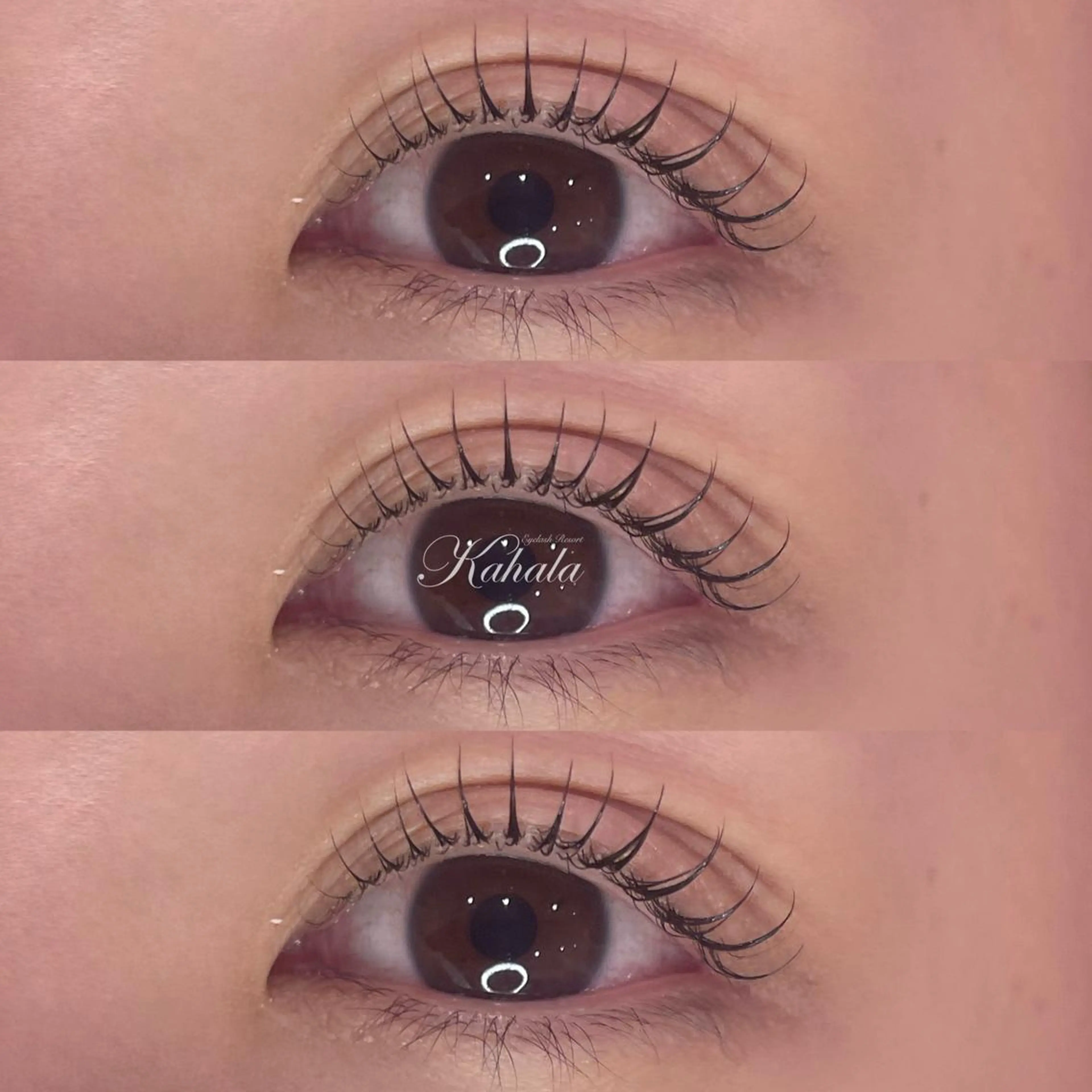 🦋‪まつ毛パーマ🦋‪＋コーティング剤仕上げの写真