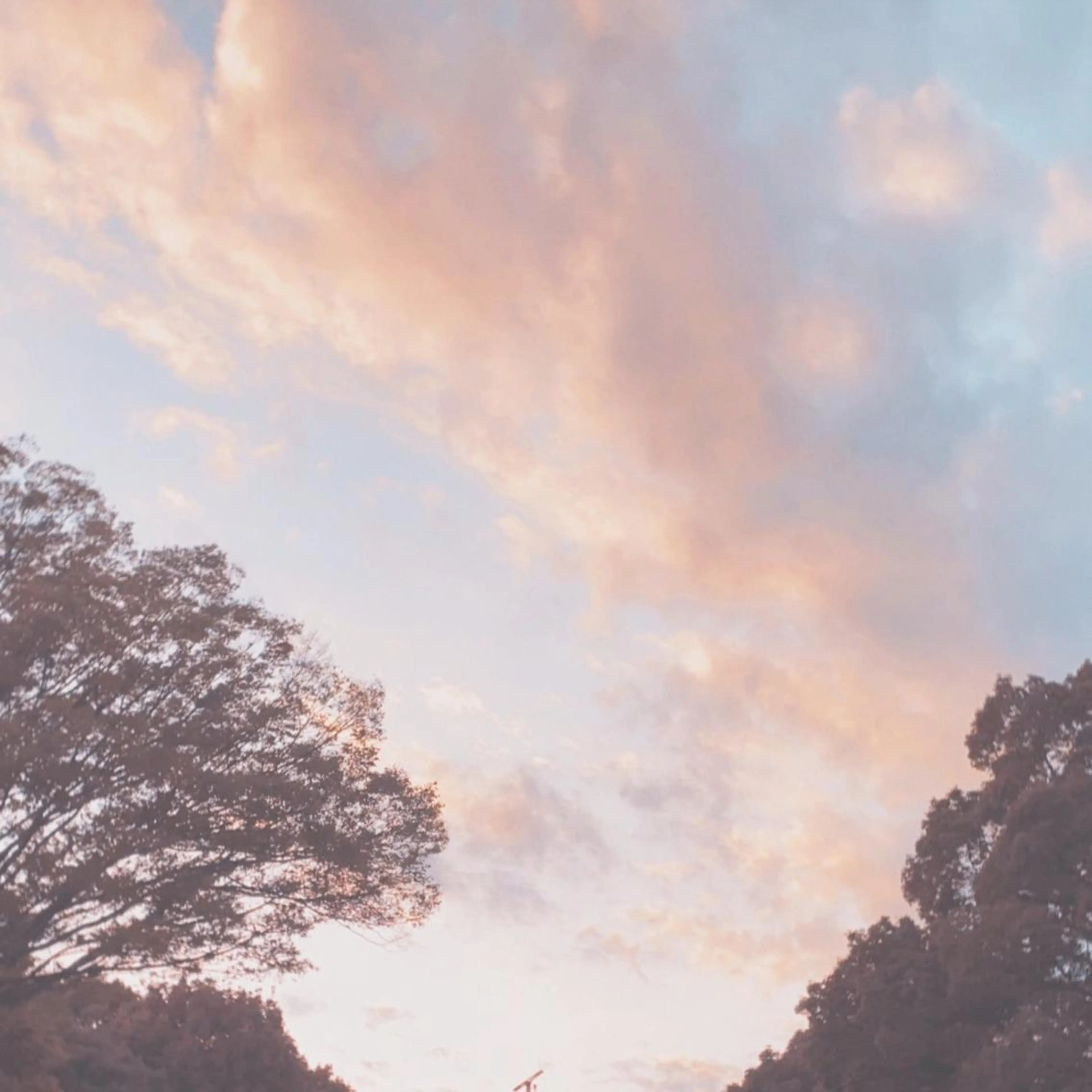 Plaatje所属・Plaatje💐 ゆずはのヘアスタイル