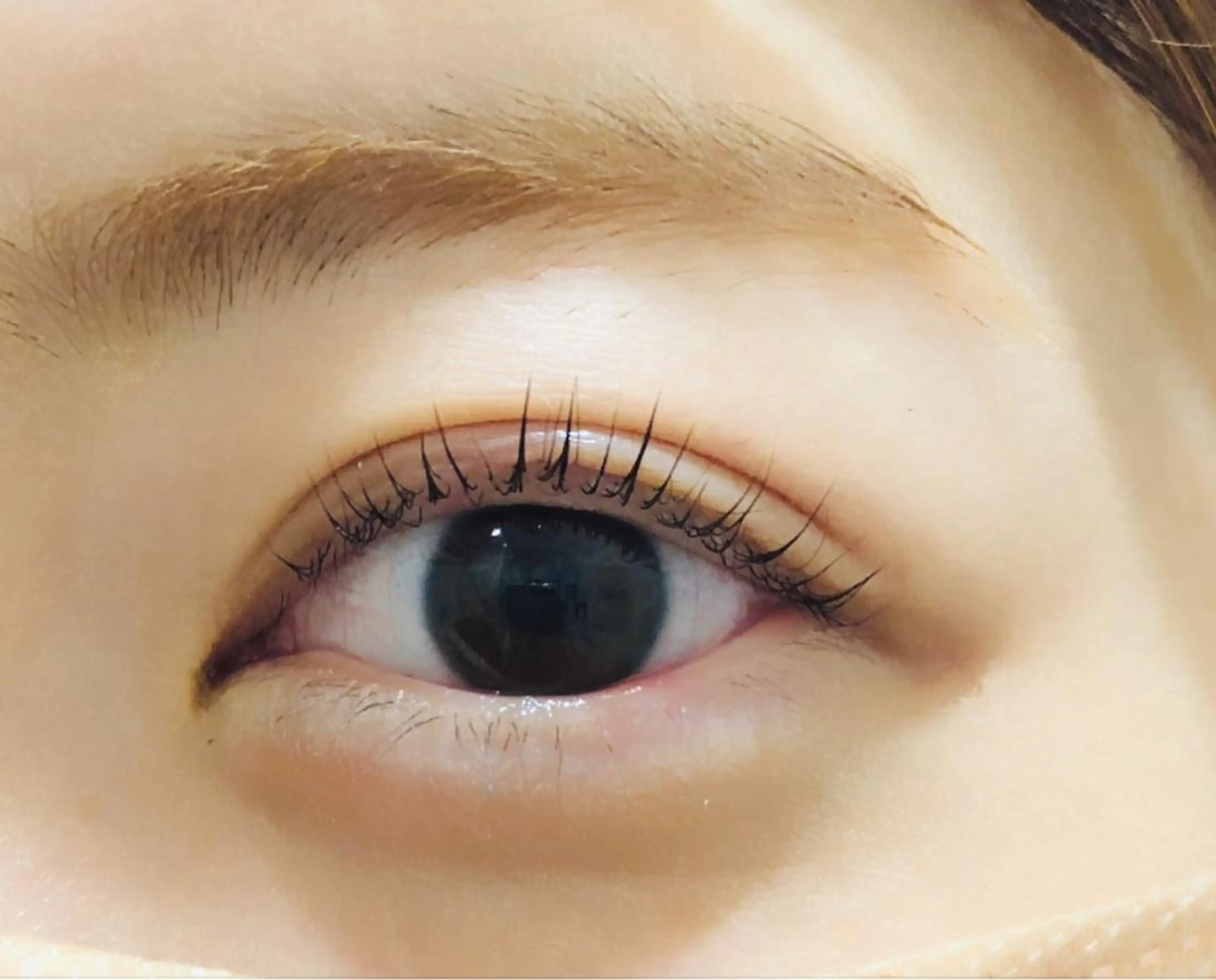 マツエク・マツパ フラットラッシュ パリジェンヌラッシュリフト セーブル 一重×まつ毛パーマ ボリュームラッシュ eyelash salon sopo所属・sopo 山口のマツエク・マツパデザイン