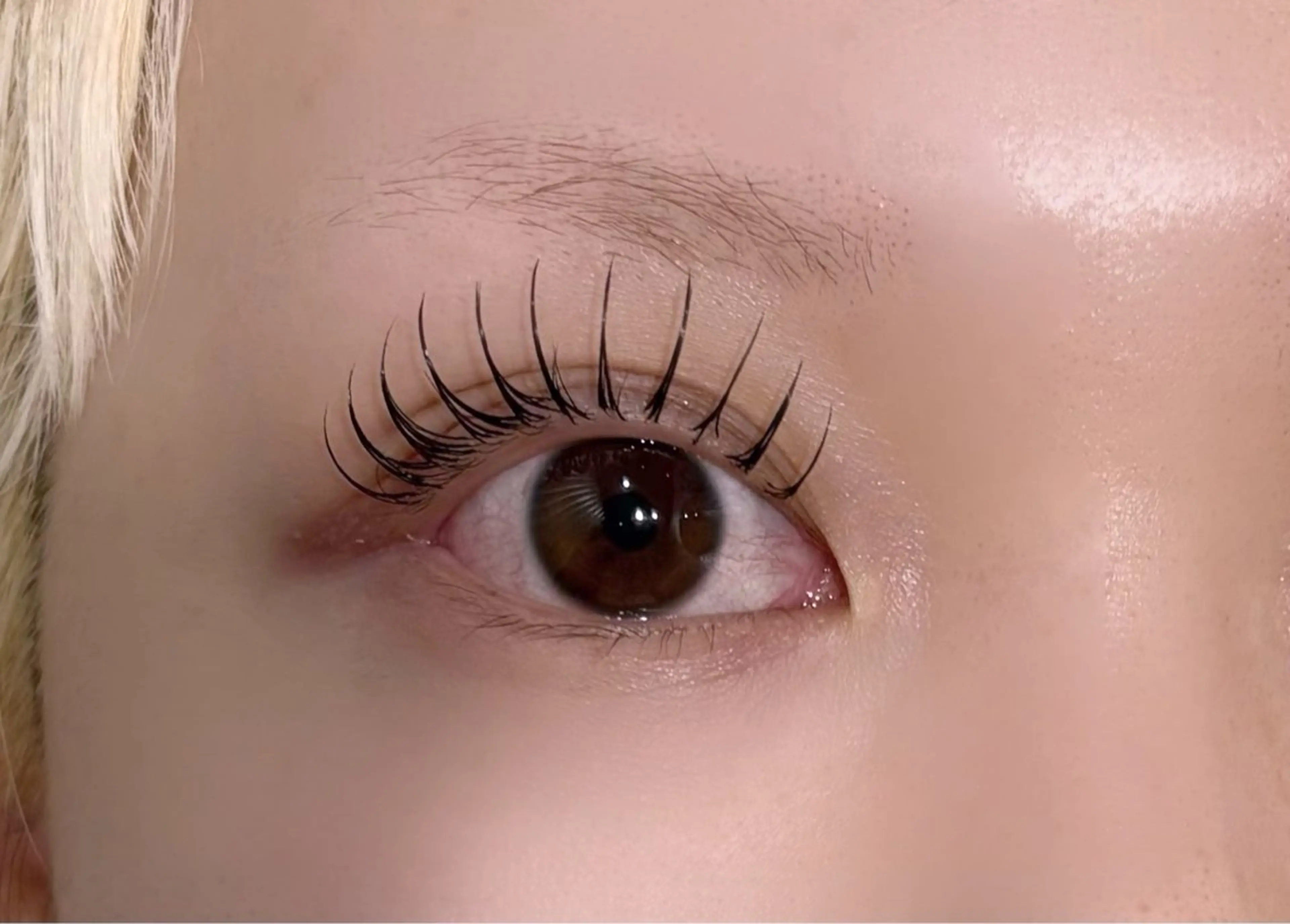 フラットラッシュ100本✨️【オフあり】(束感仕上げ＋200円）の写真