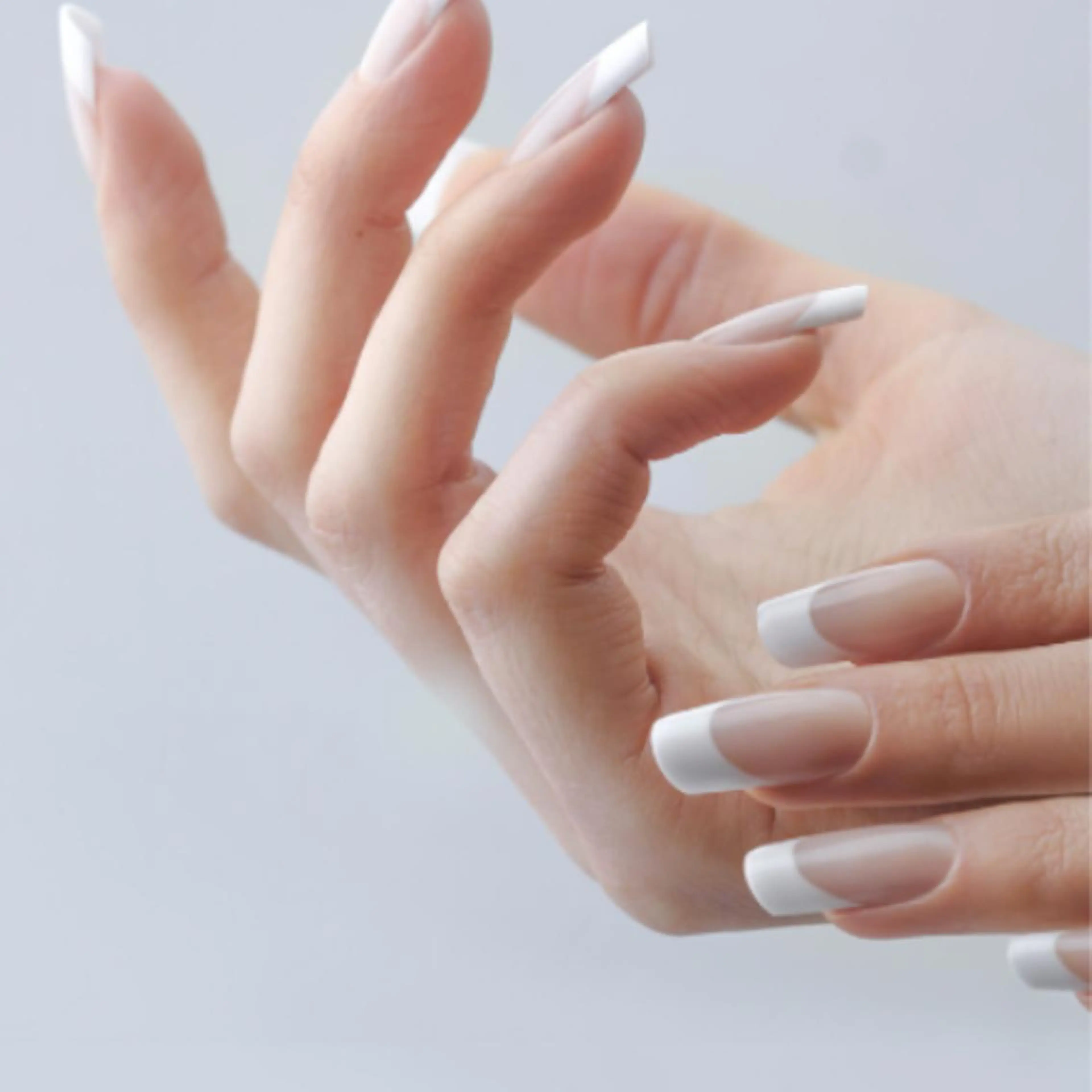 ワンカラー➕【フレンチor グラデーション】➕ケア《新規オフ無料》【新規】→￥8800　【リピート様】→￥9900の写真