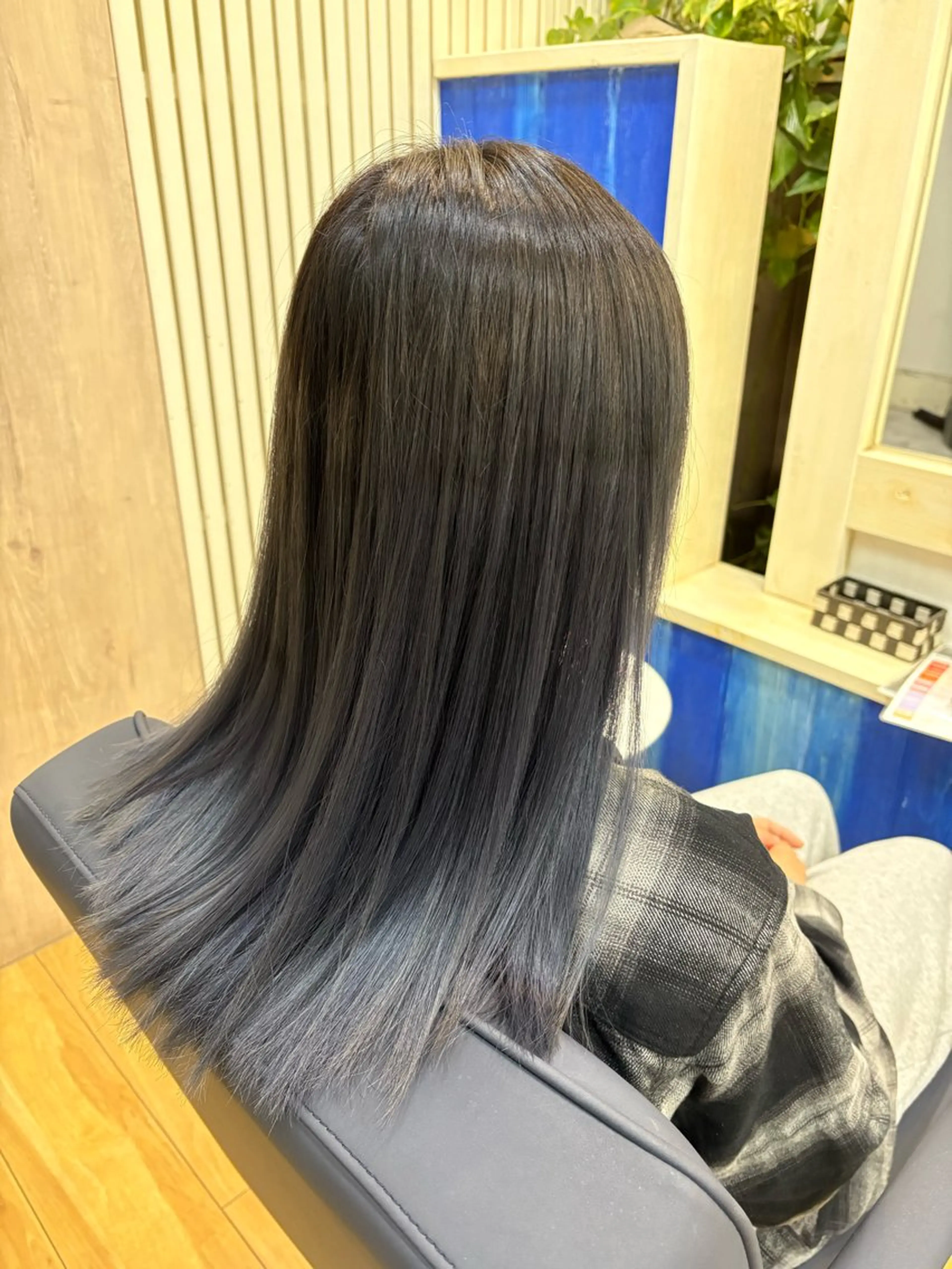 🕊カラー＋グラデーションの写真