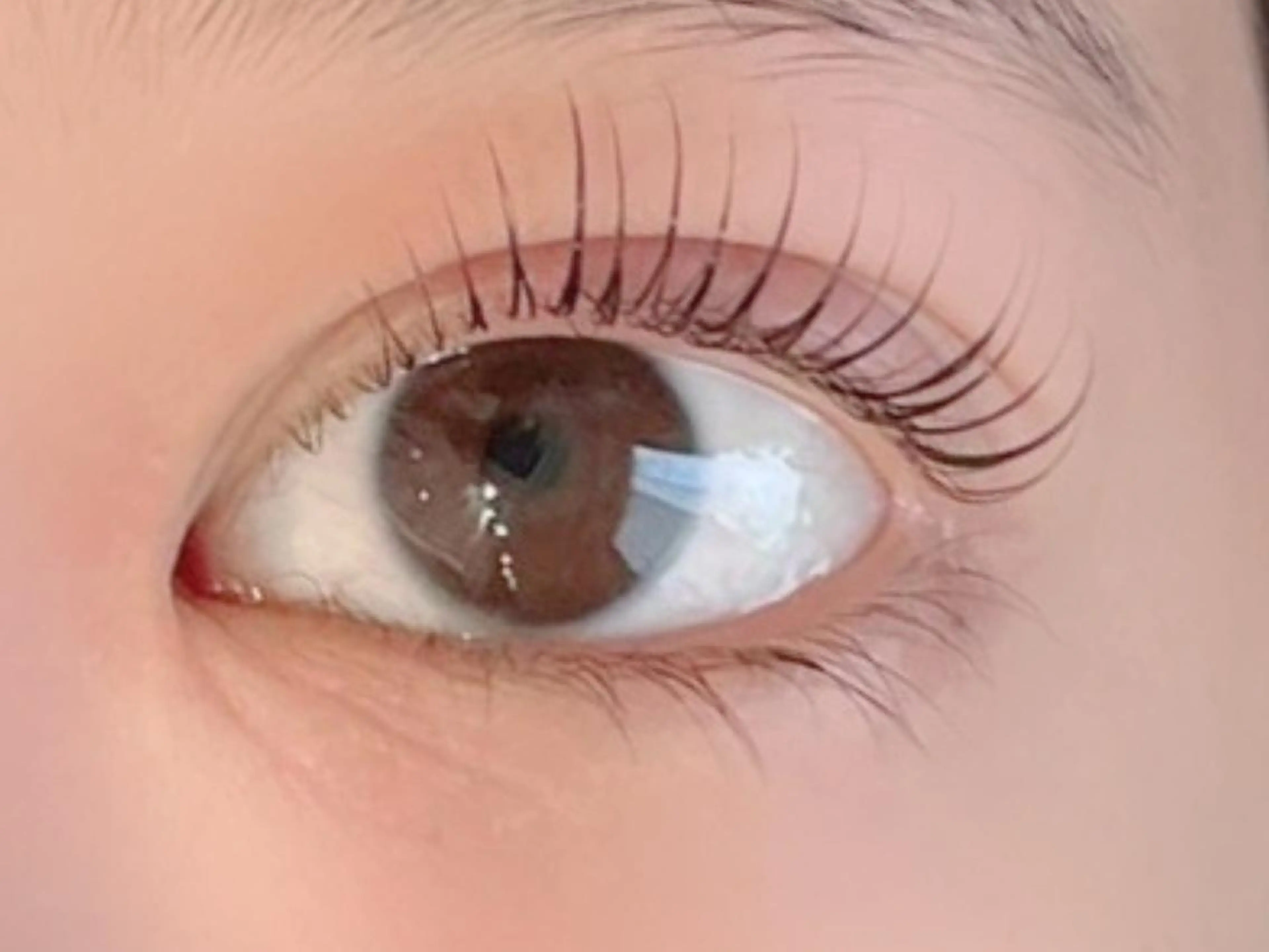 マツエク・マツパ Mian 津田沼のマツエク・マツパデザイン