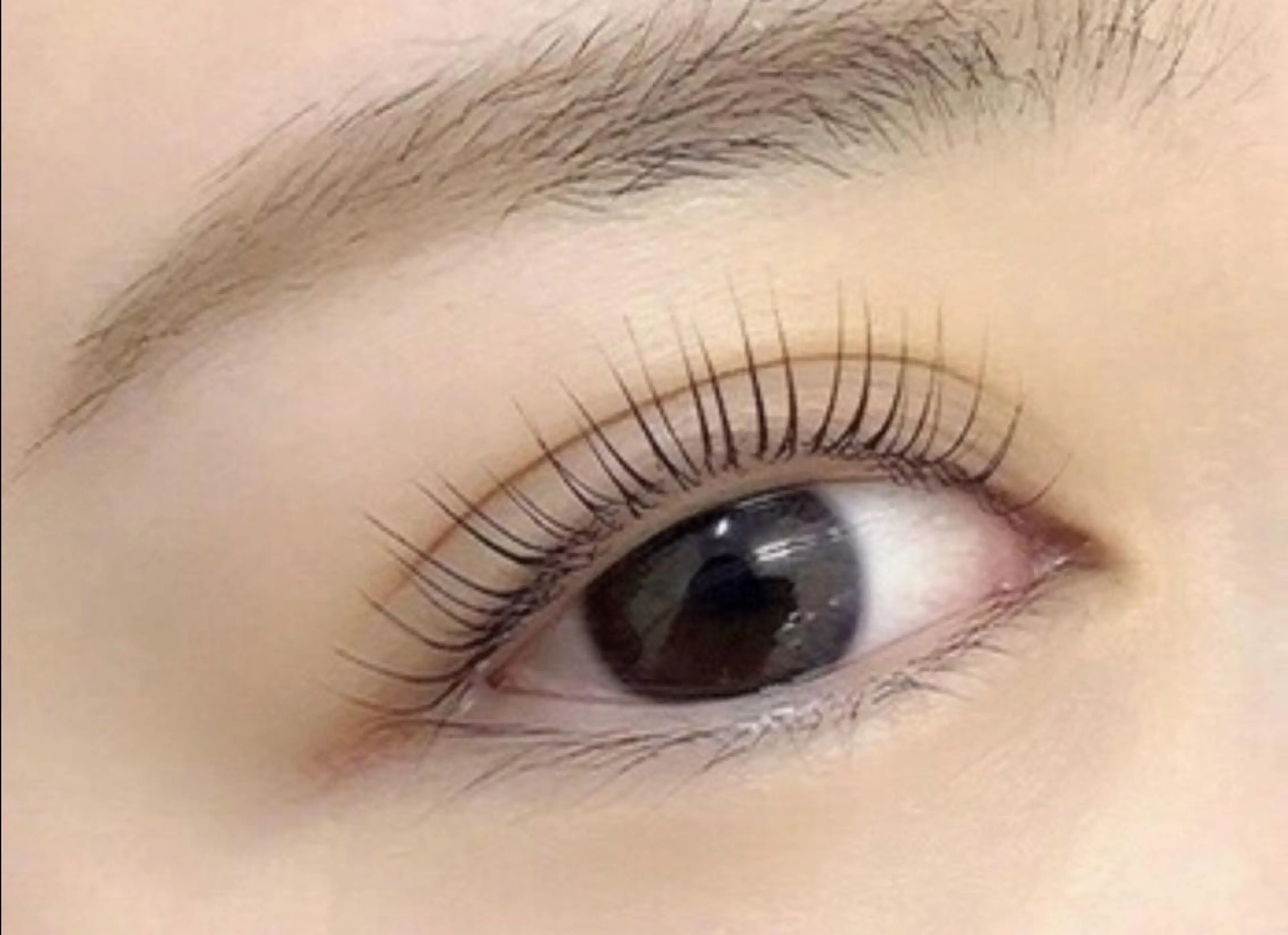 マツエク・マツパ by MARIE TERESIA 札幌北口所属・マリーテレジア 札幌北口店 長嶋🎀の眉毛・アイブロウイメージ