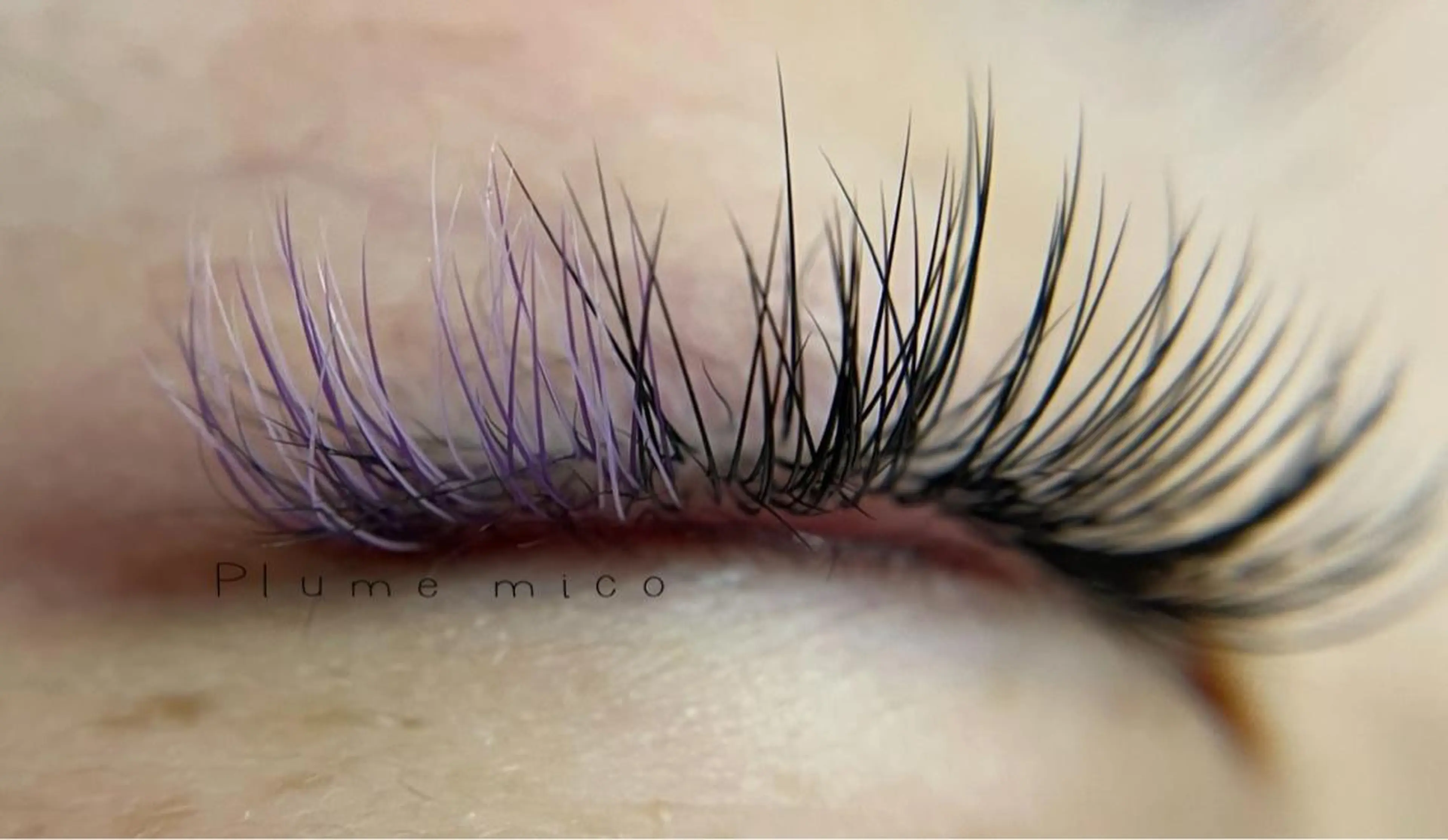 マツエク・マツパ マツエク Plume micoのマツエク・マツパデザイン