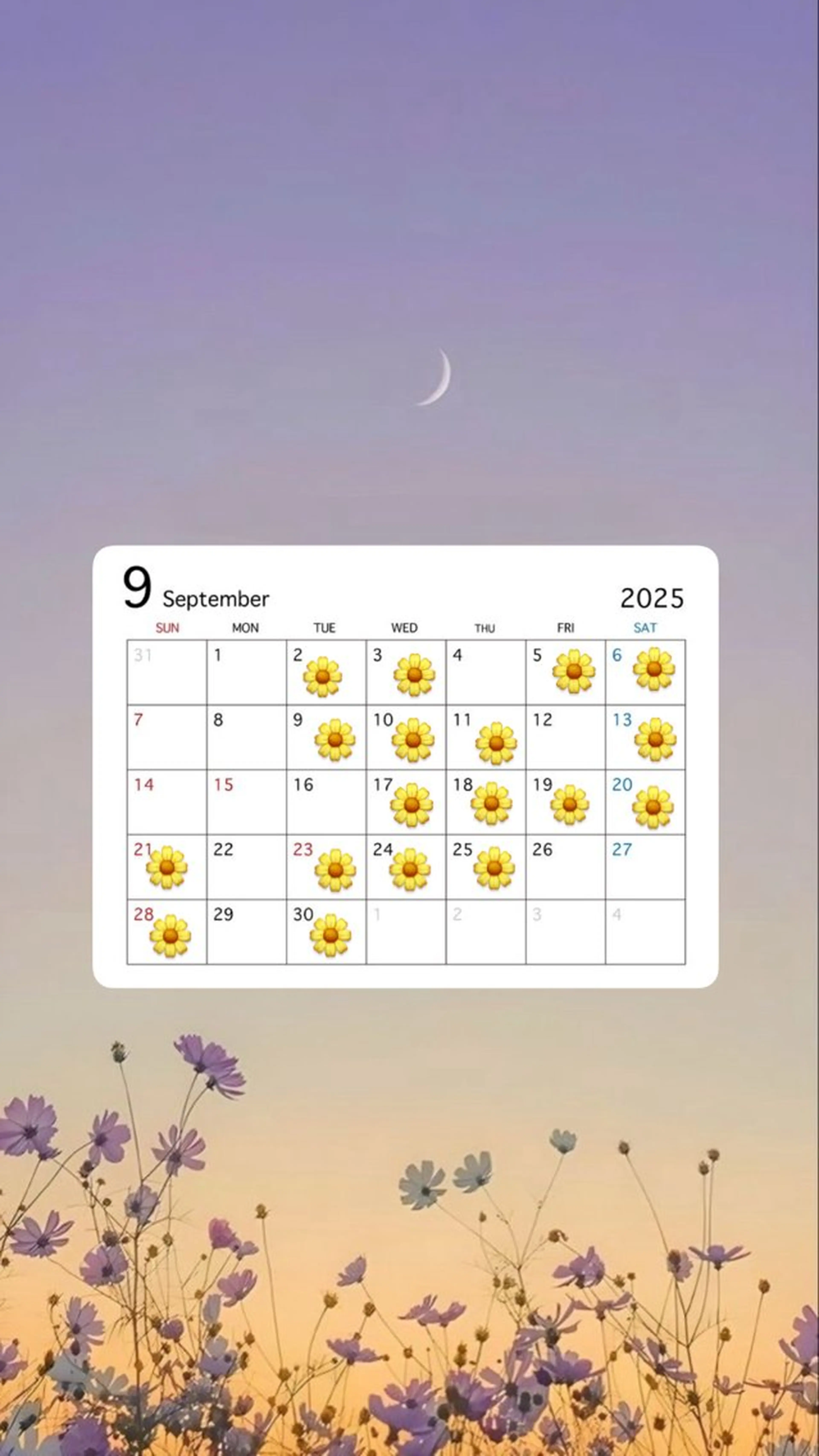 カラー UNBIRTHDAY amiのヘアスタイル