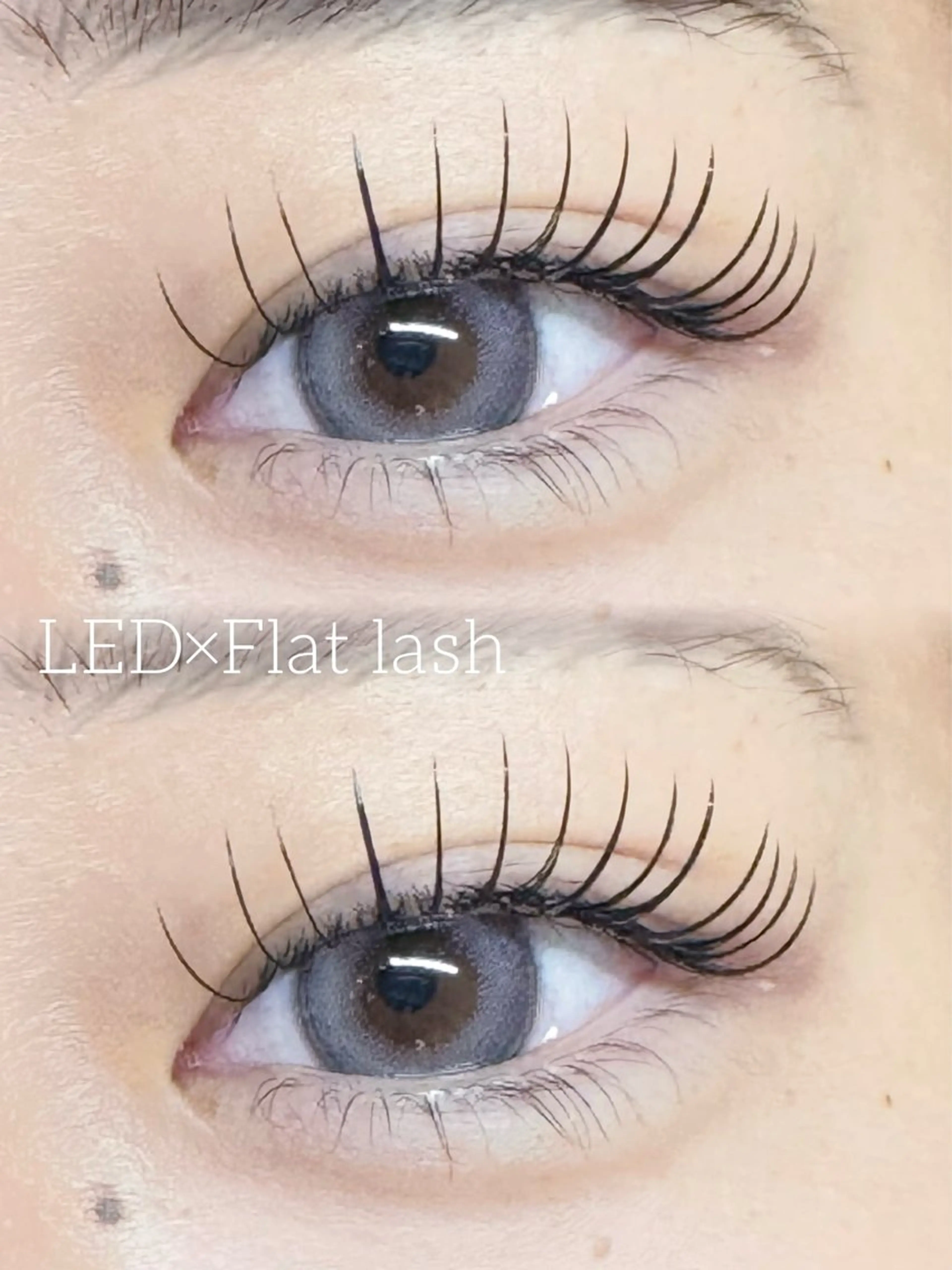 🍂12月限定🍂LEDフラットラッシュ120本　通常グルーオフ無料(LEDオフ+500円)の写真