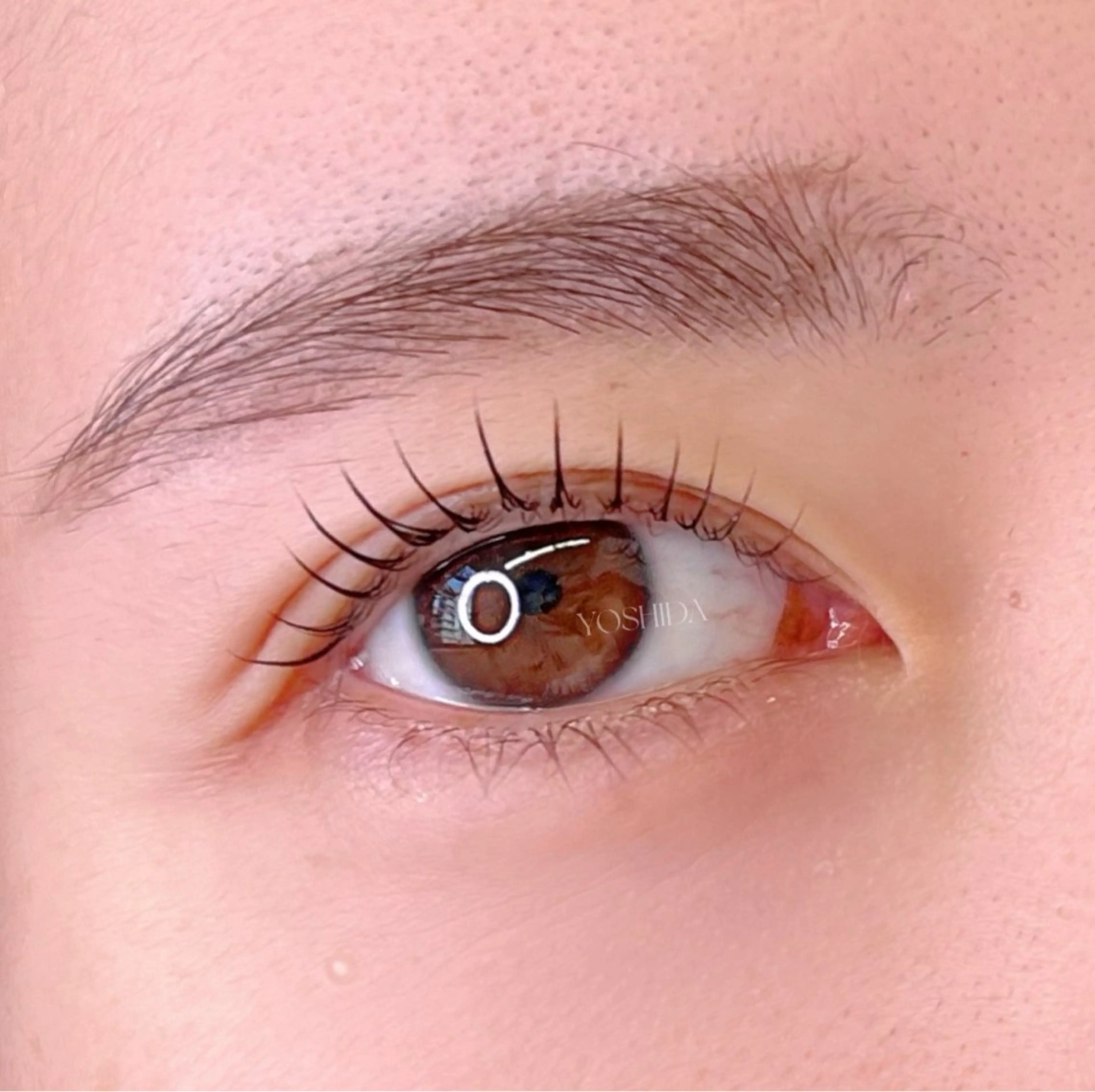 高校生限定【何度でもOK】🉐🌈次世代まつ毛パーマ┊︎ラッシュリフト🫧アイシャンプー＋仕上げコーティング付💫の写真