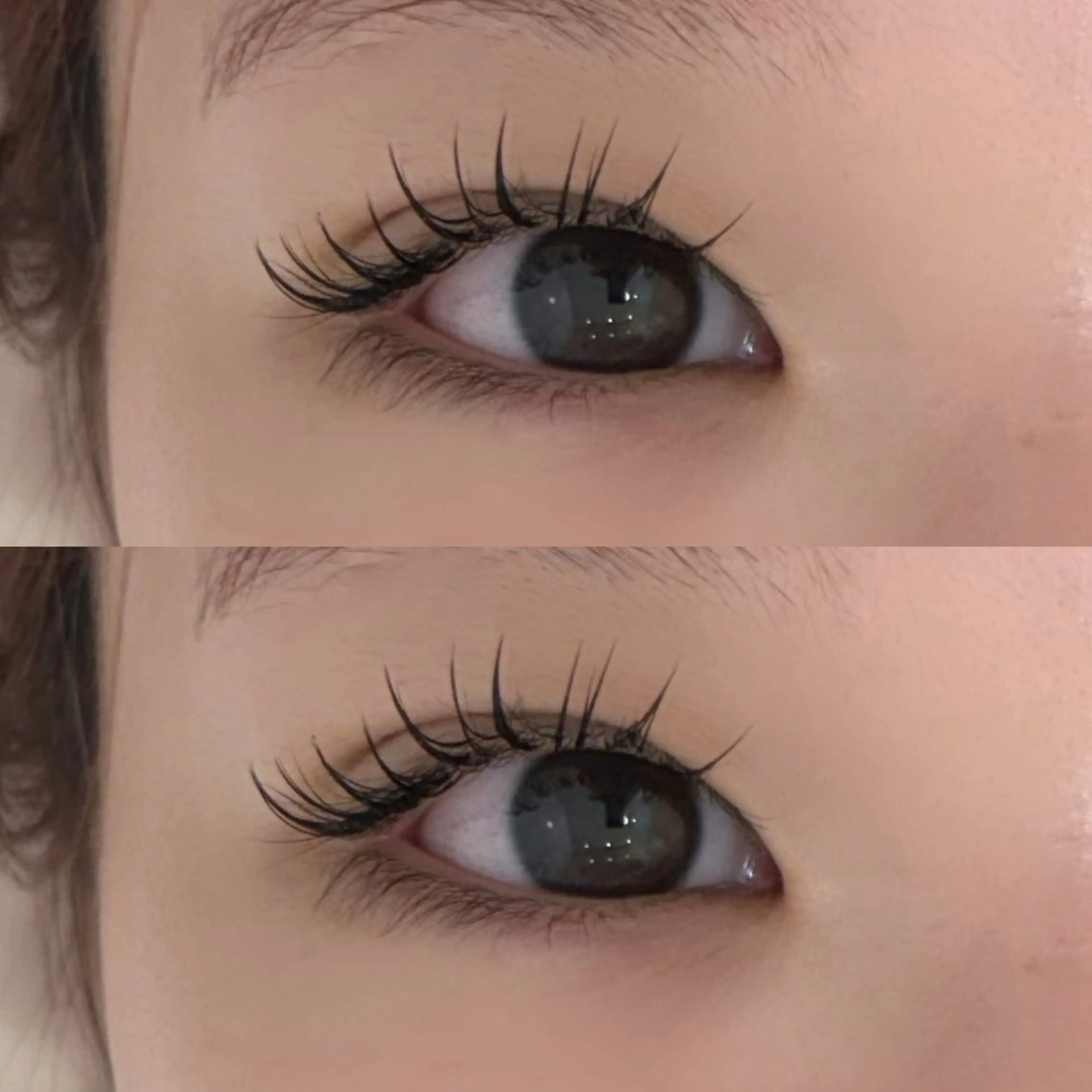 マツエク80本シングルラッシュ💎🪽(オフなし)の写真