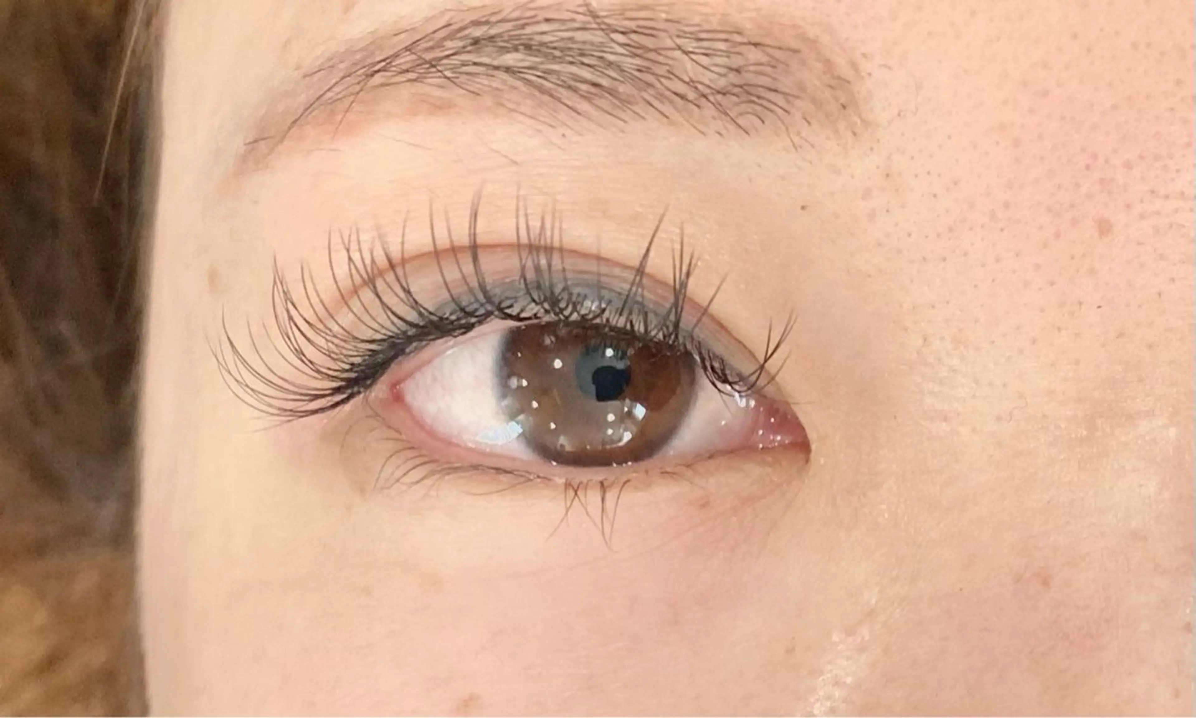 フラットラッシュ100本の写真