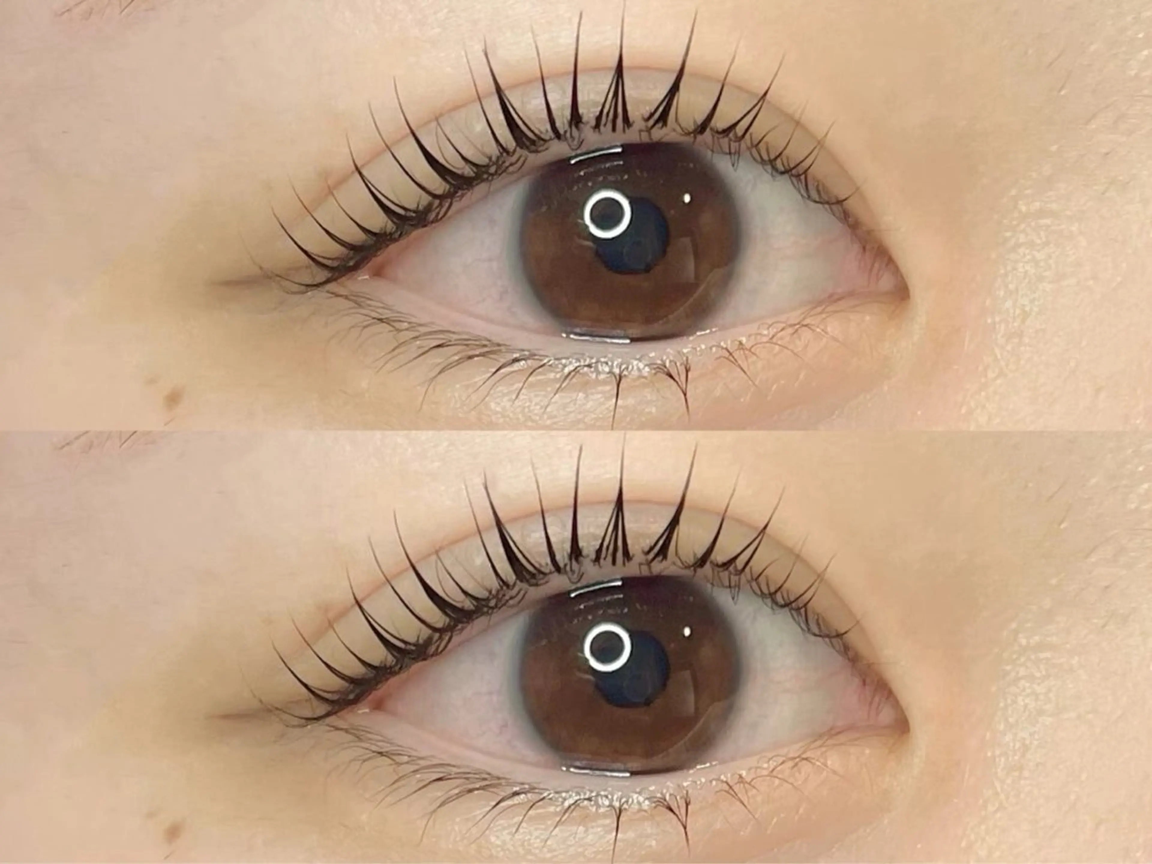 マツエク・マツパ 浅草橋 Ai ⛓️🖤坂本のヘアスタイル