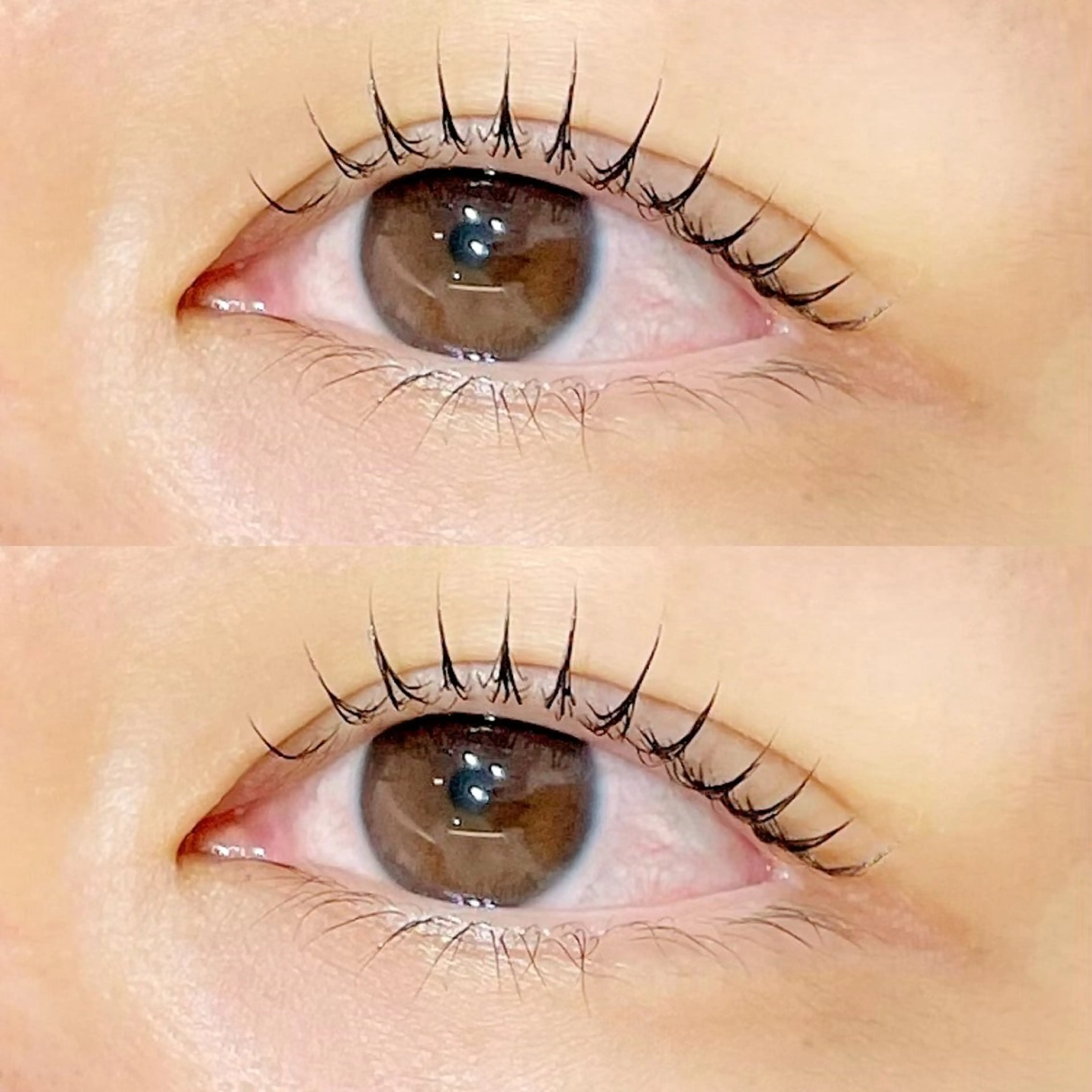 パリジェンヌラッシュリフトの写真