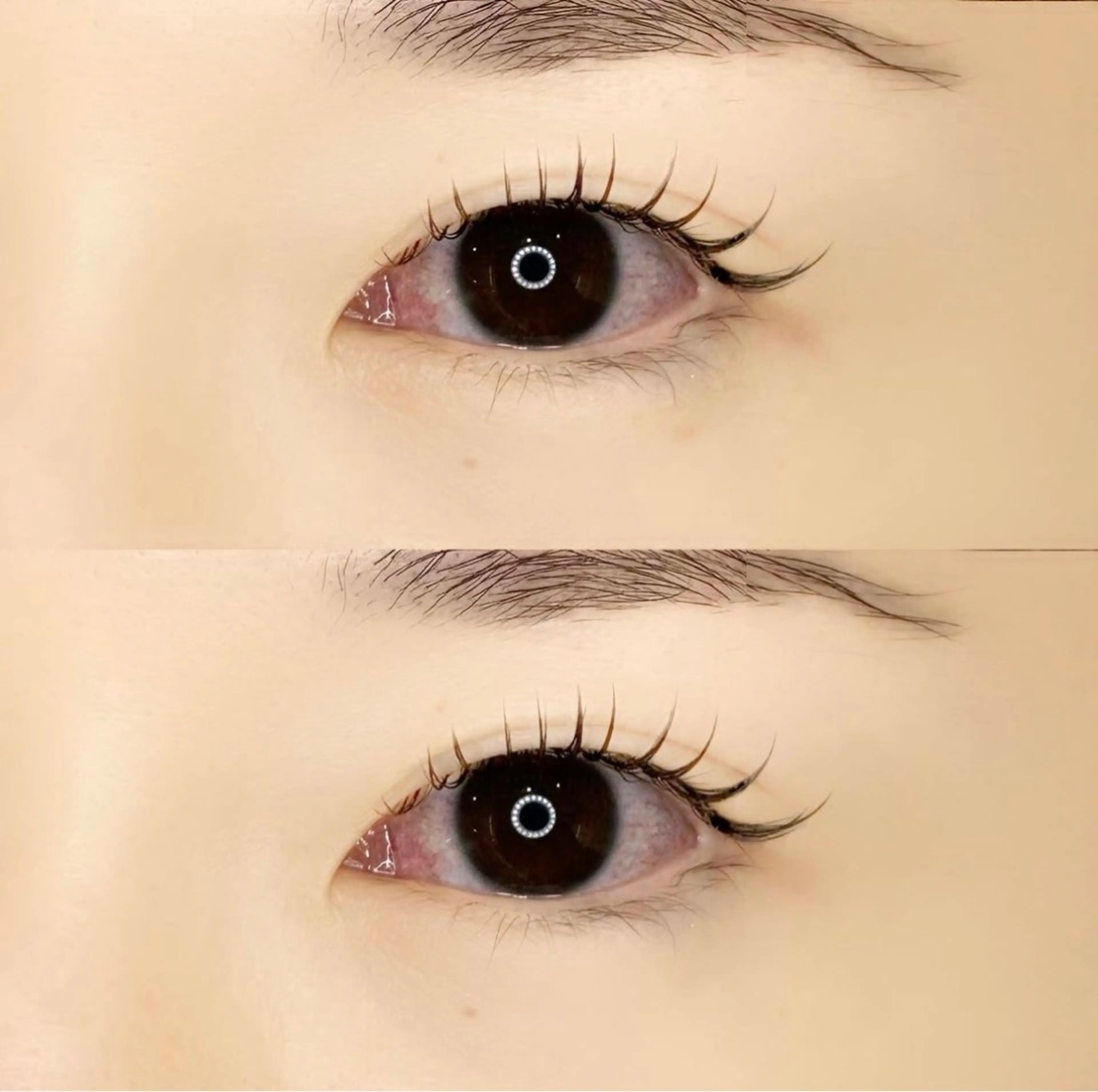 マツエク・マツパ 、 alaのマツエク・マツパデザイン