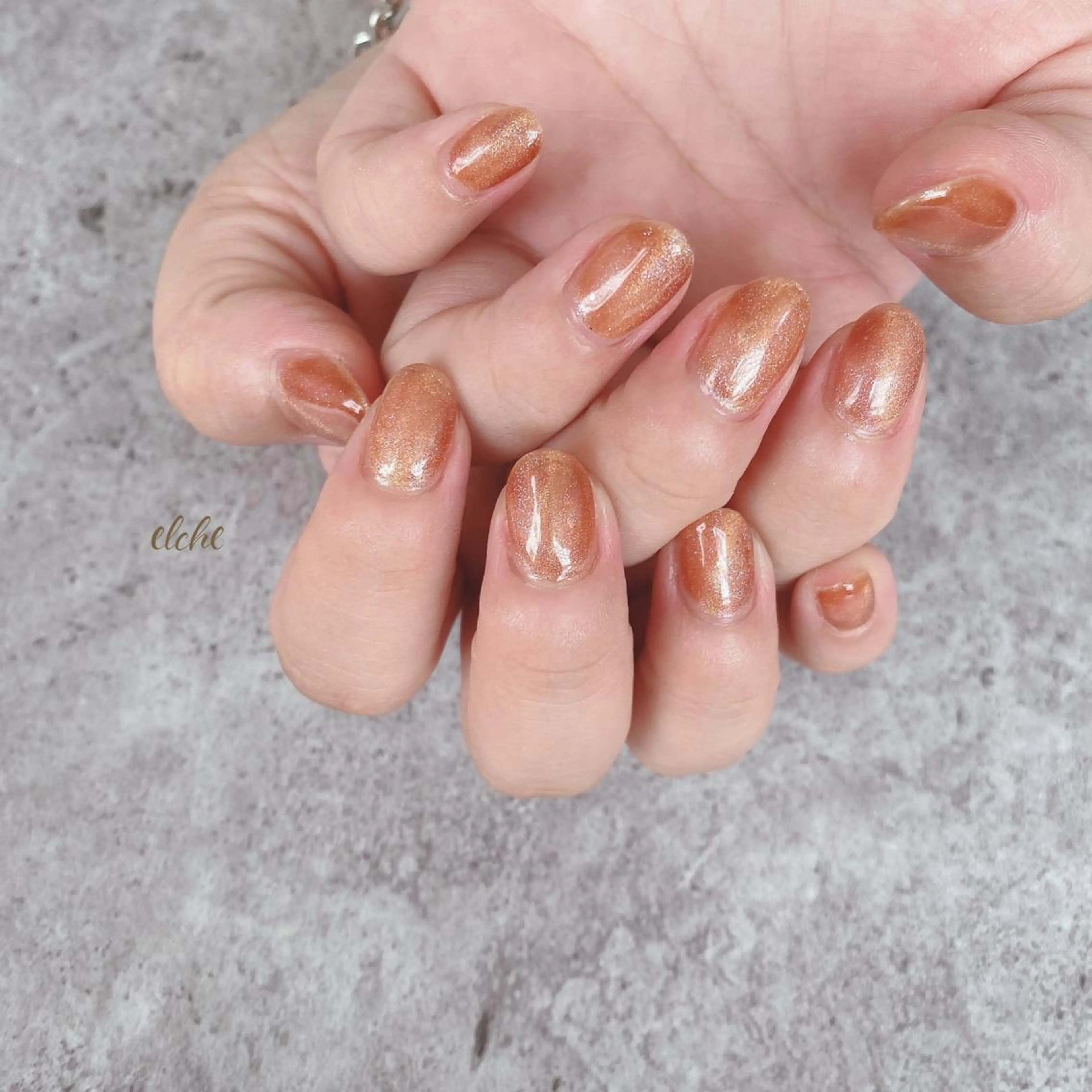 ネイル マグネットネイル Rio 𓍼のネイルデザイン