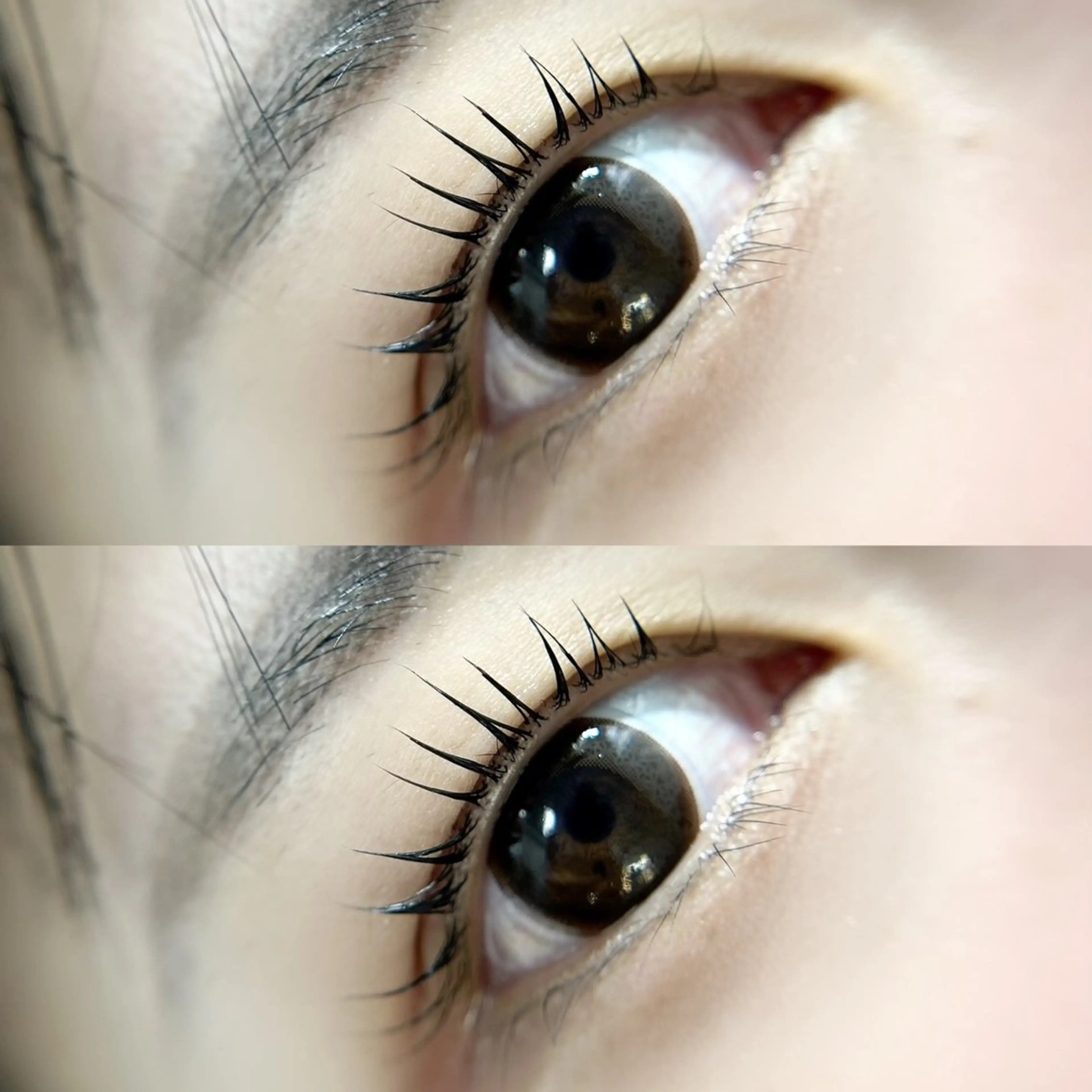 マツエク・マツパ peTiT京橋店🌷 YAMASAKIのマツエク・マツパデザイン