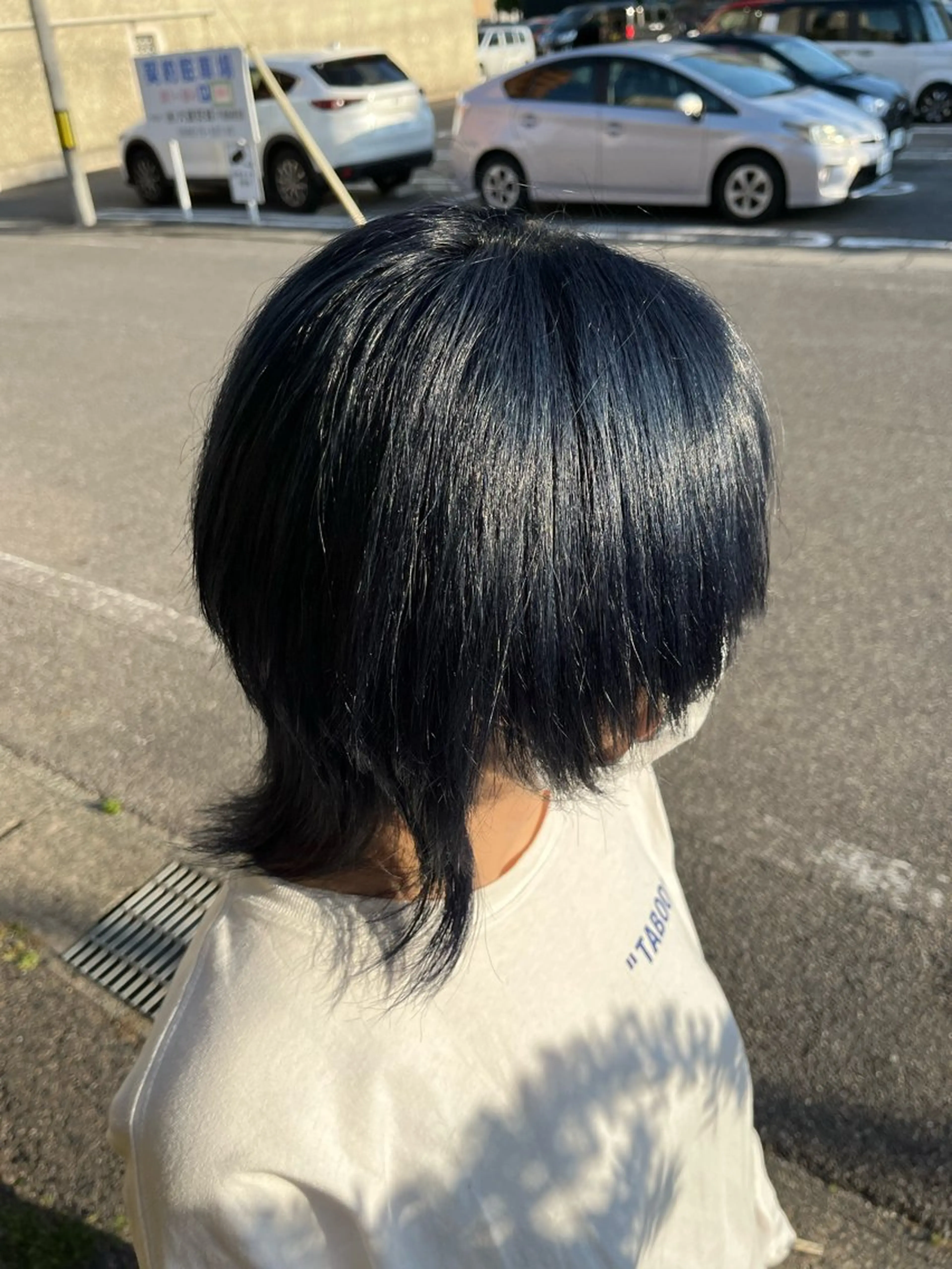 ショート カラー 黒髪 ブルーカラー ブルーブラック ウルフカット 美容室スージーズ所属・大坪 拓斗のヘアスタイル