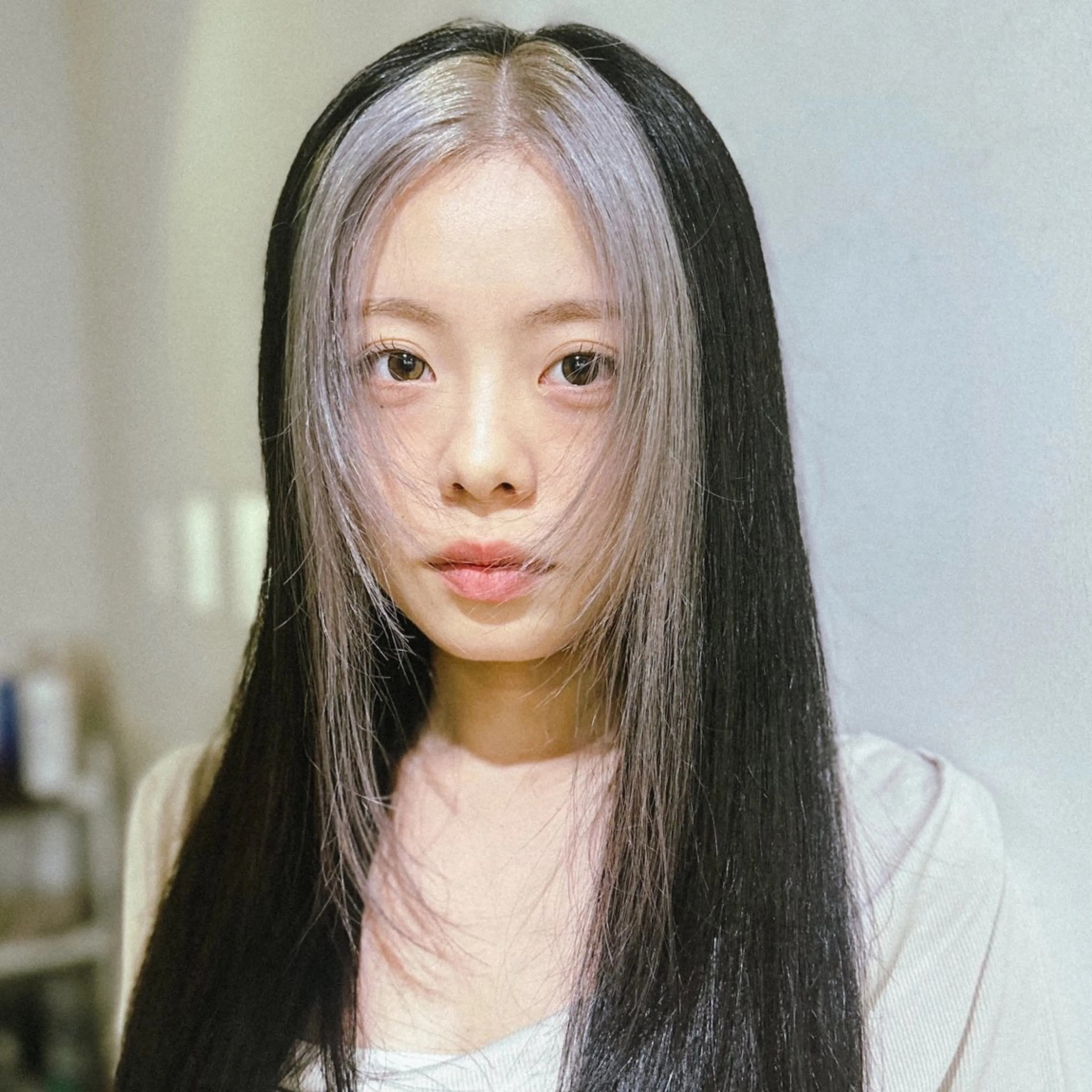 セミロング HUMANあすか /レディースカットのヘアスタイル