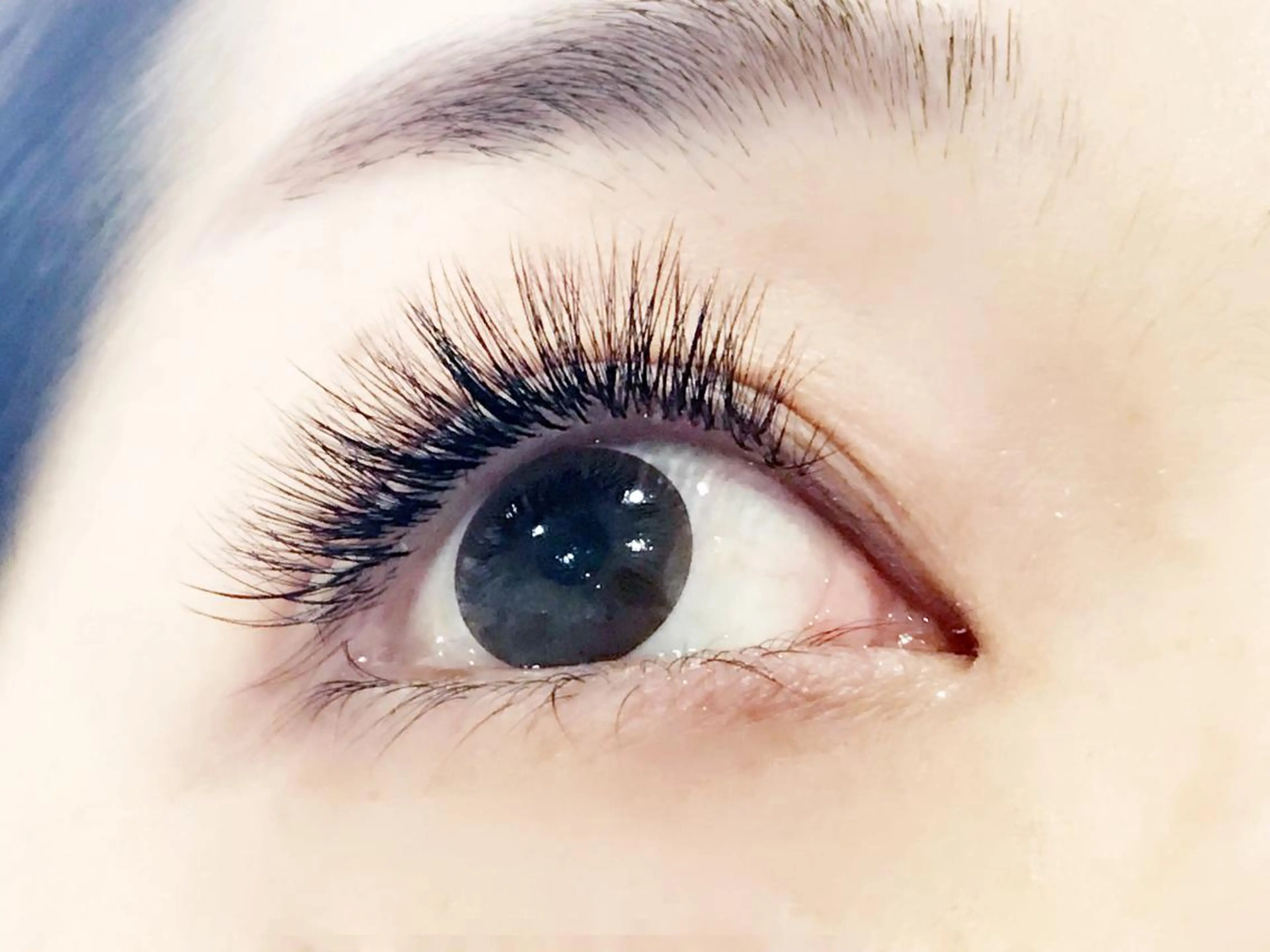 マツエク・マツパ miku 【alice天神店】のマツエク・マツパデザイン