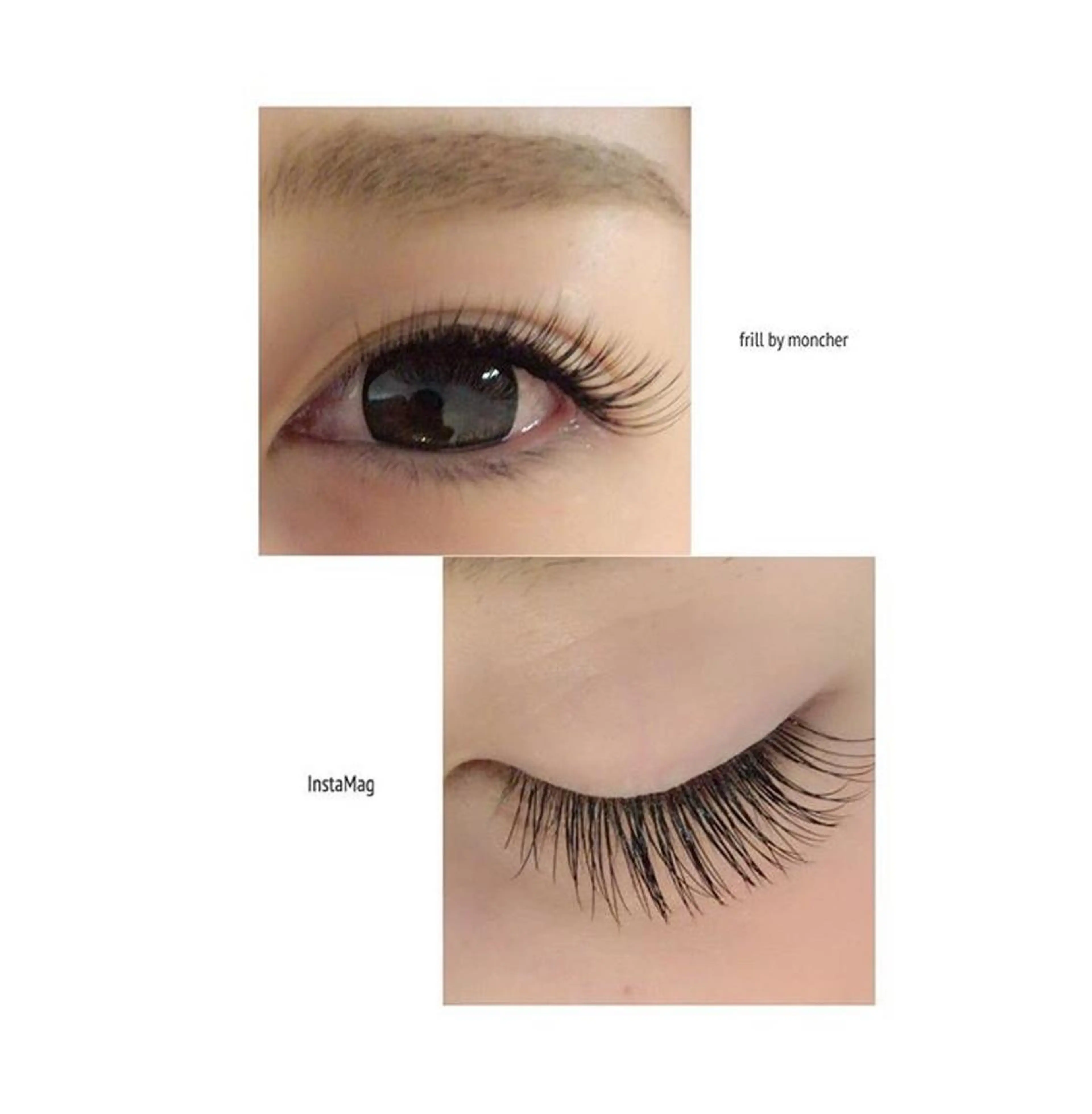 期間限定高級セーブル初回120本　アイシャンプー無料の写真